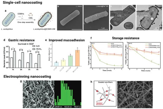 Pharmaceutics 17 01180 g003