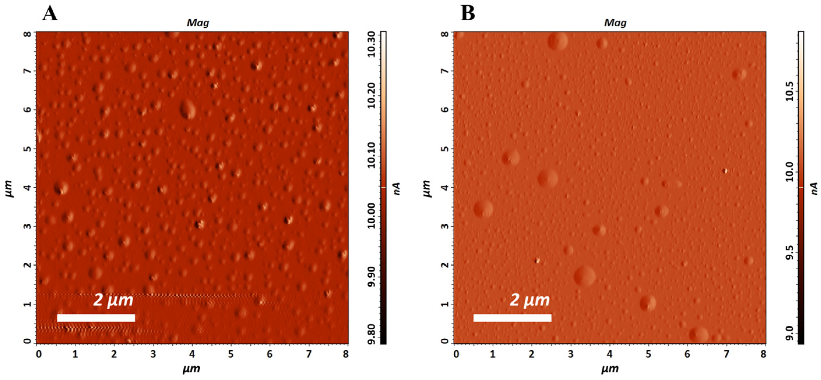 Pharmaceutics 17 01182 g001