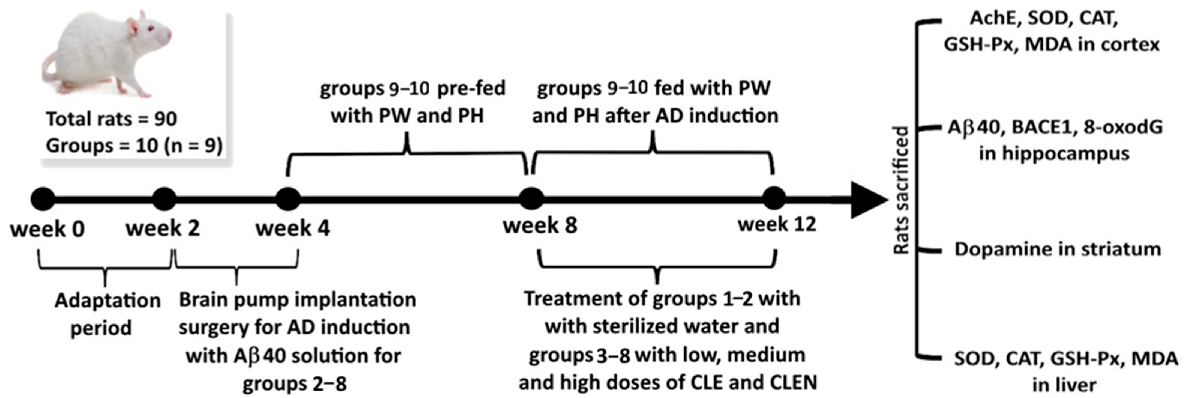 Pharmaceutics 17 01200 g001 Pharmaceutics 17 01200 g001