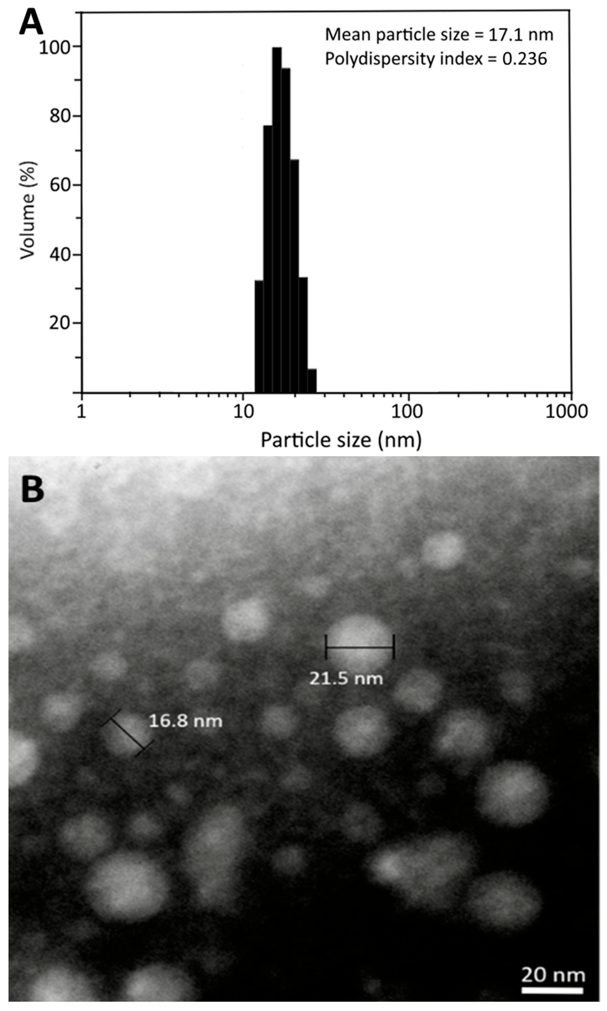 Pharmaceutics 17 01200 g003 Pharmaceutics 17 01200 g003