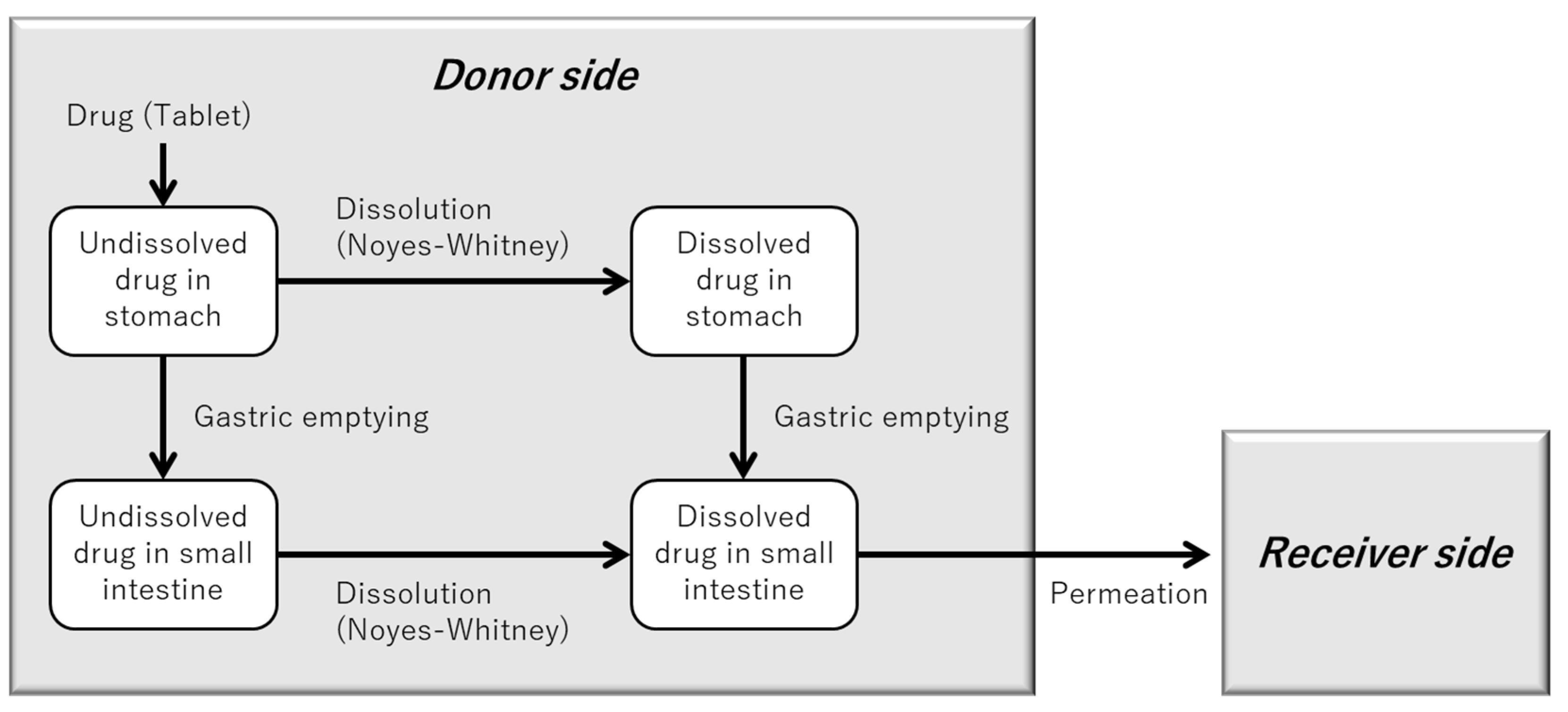 Pharmaceutics 17 01222 g002