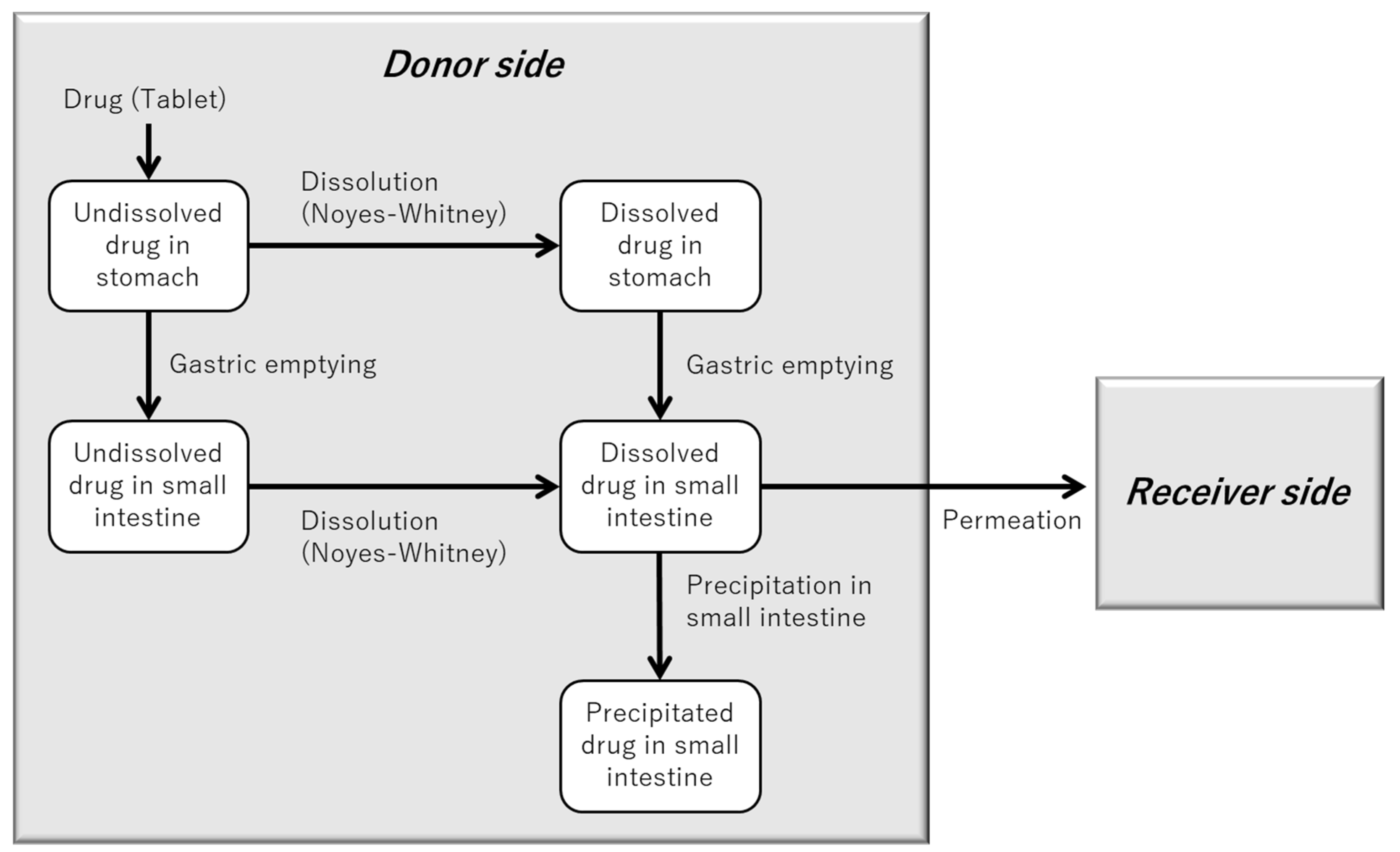 Pharmaceutics 17 01222 g004