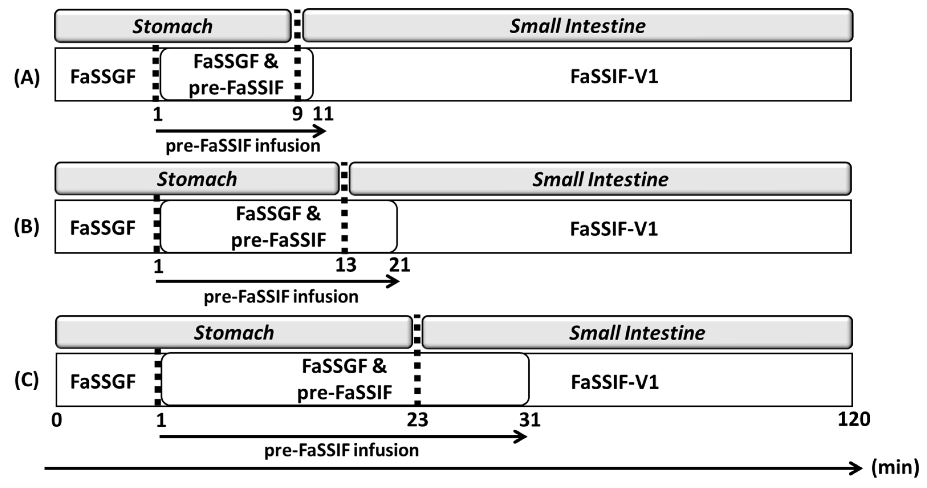 Pharmaceutics 17 01222 g005