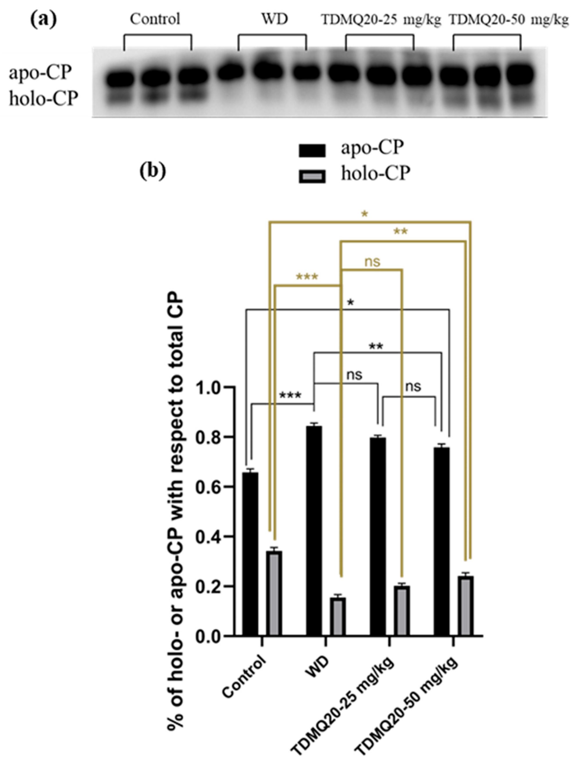 Pharmaceutics 17 01237 g004