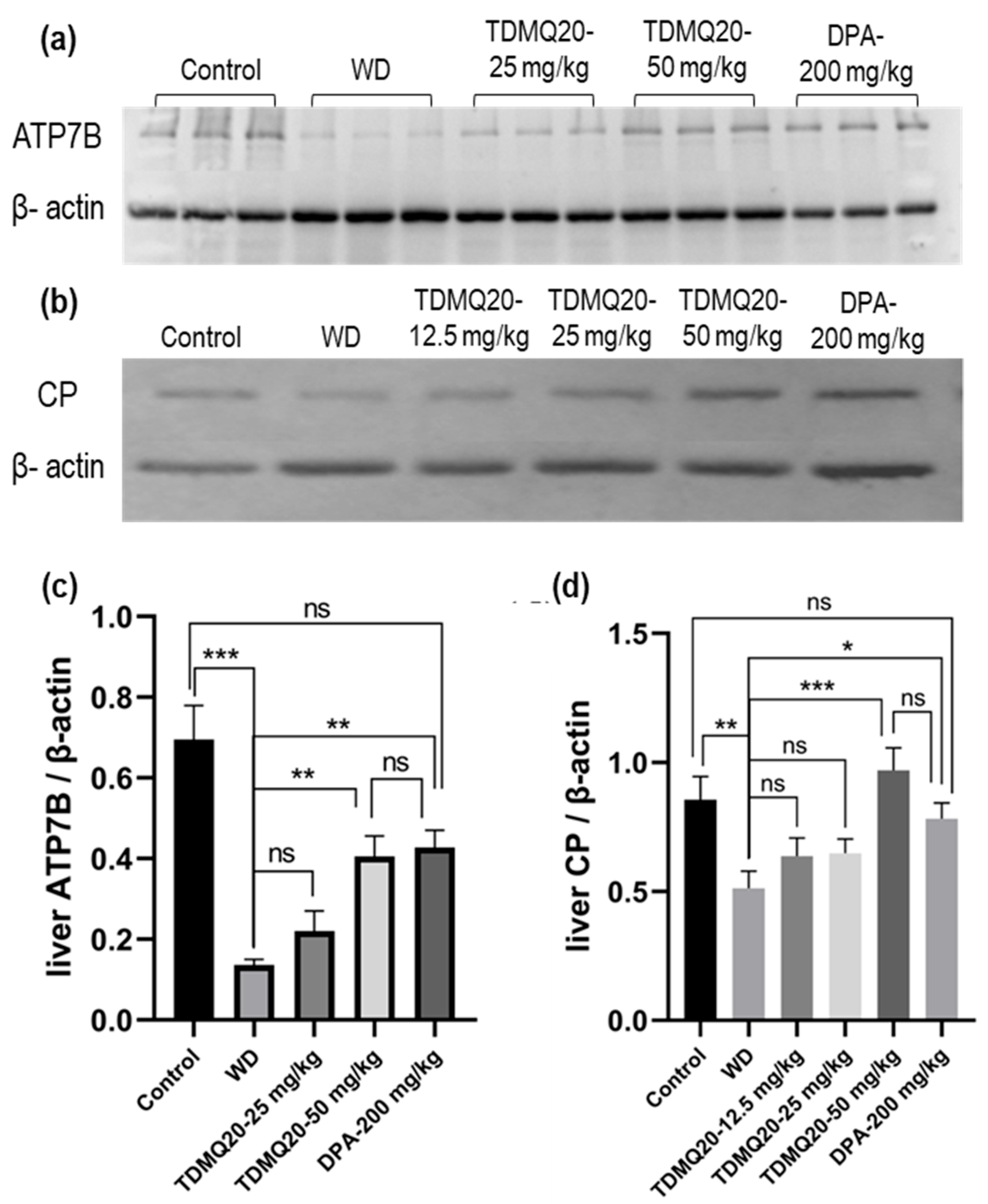 Pharmaceutics 17 01237 g006