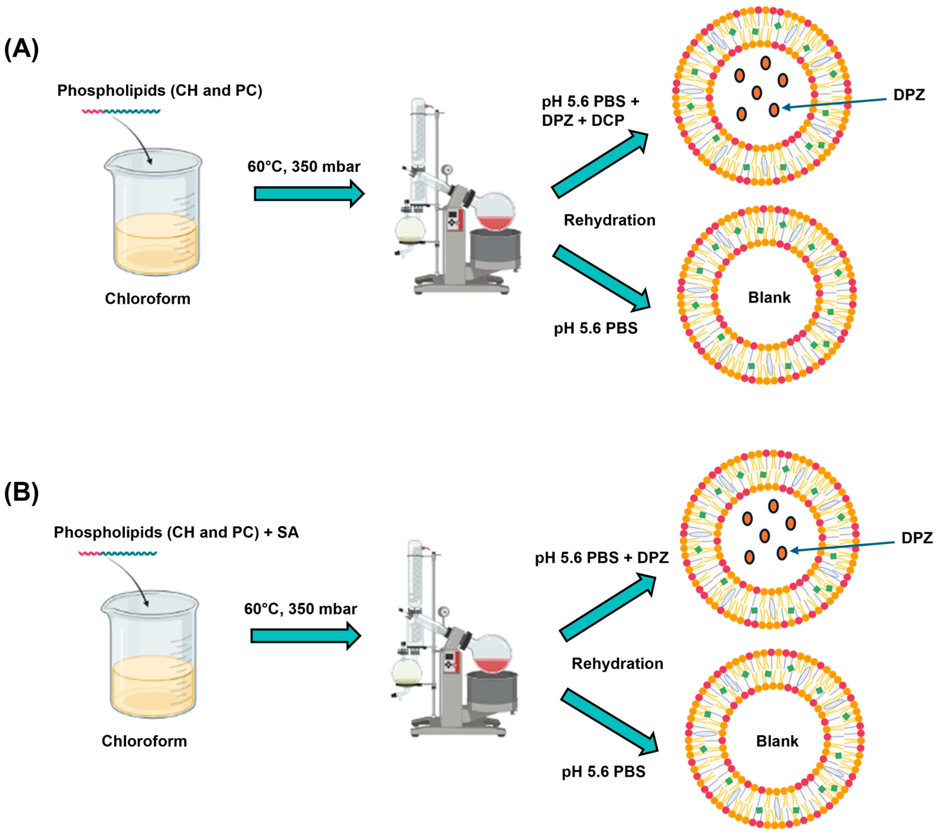 Pharmaceutics 17 01250 g001 Pharmaceutics 17 01250 g001