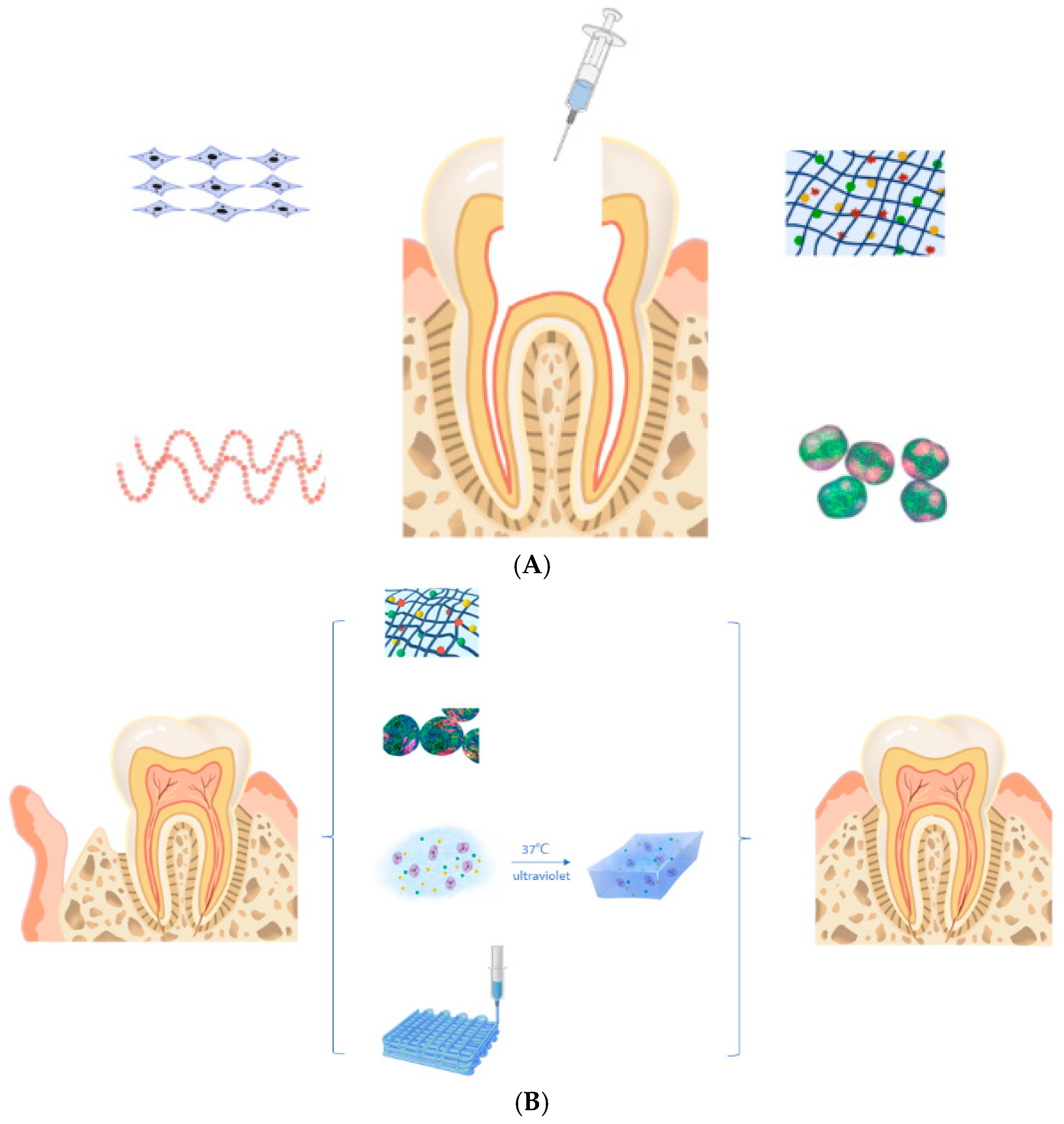 Pharmaceutics 17 01256 g002 Pharmaceutics 17 01256 g002