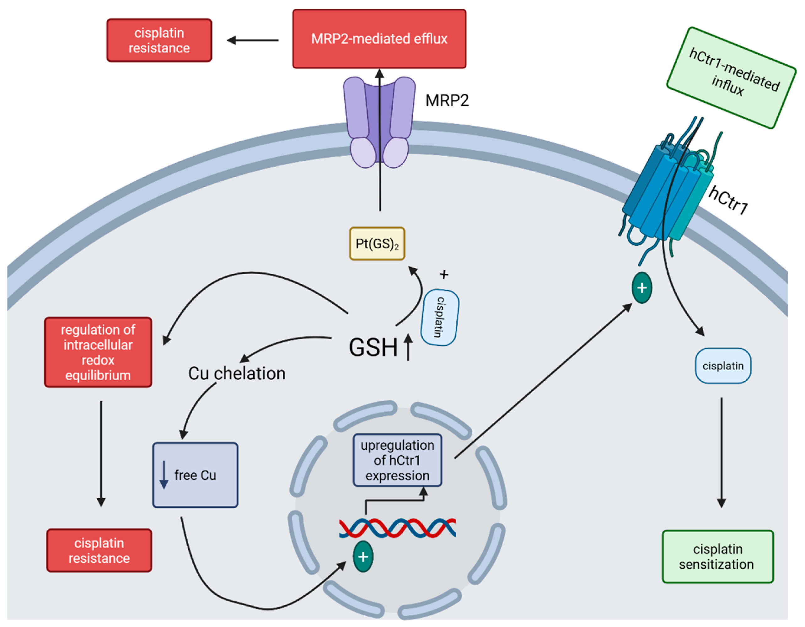 Pharmaceutics 17 01267 g002