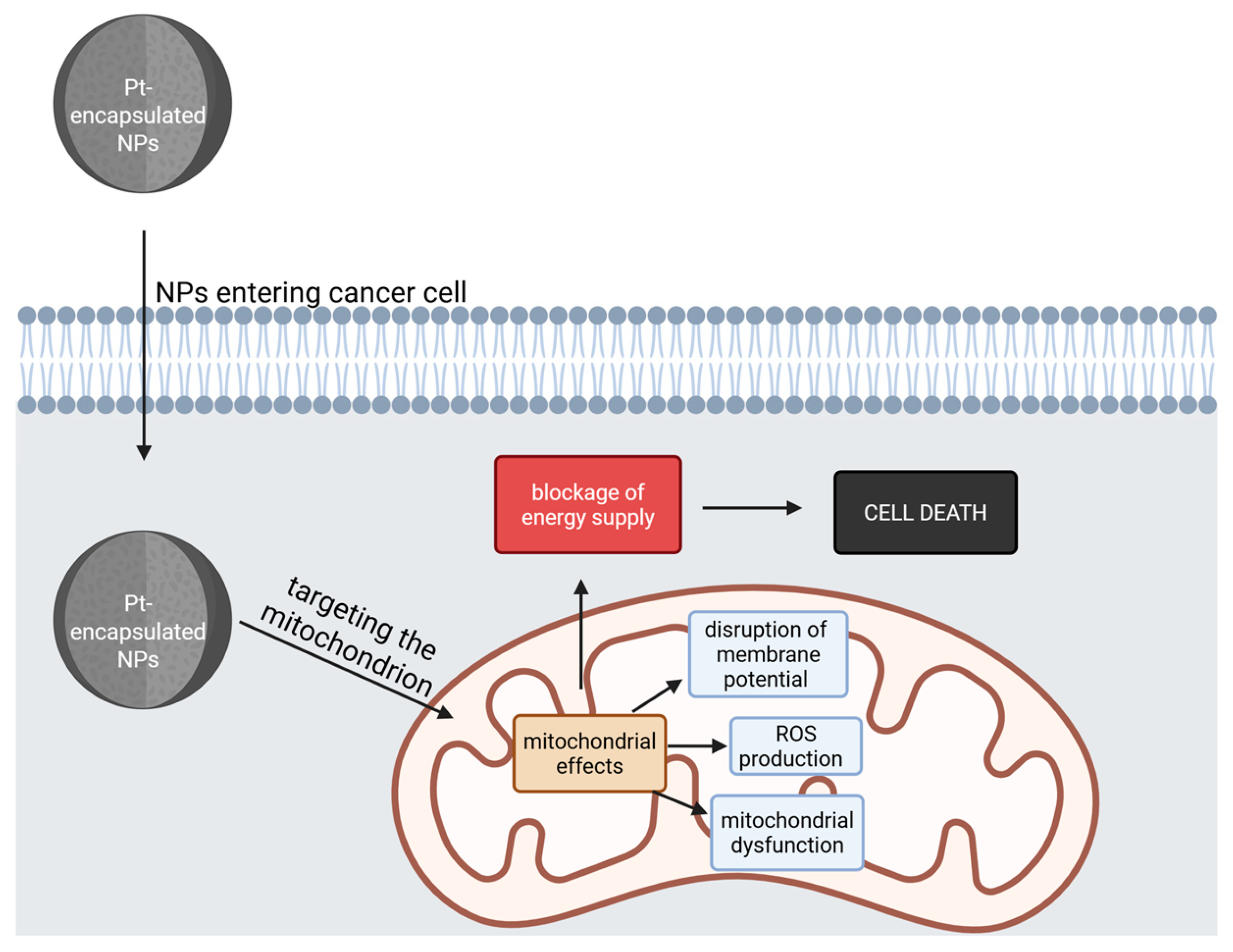 Pharmaceutics 17 01267 g003