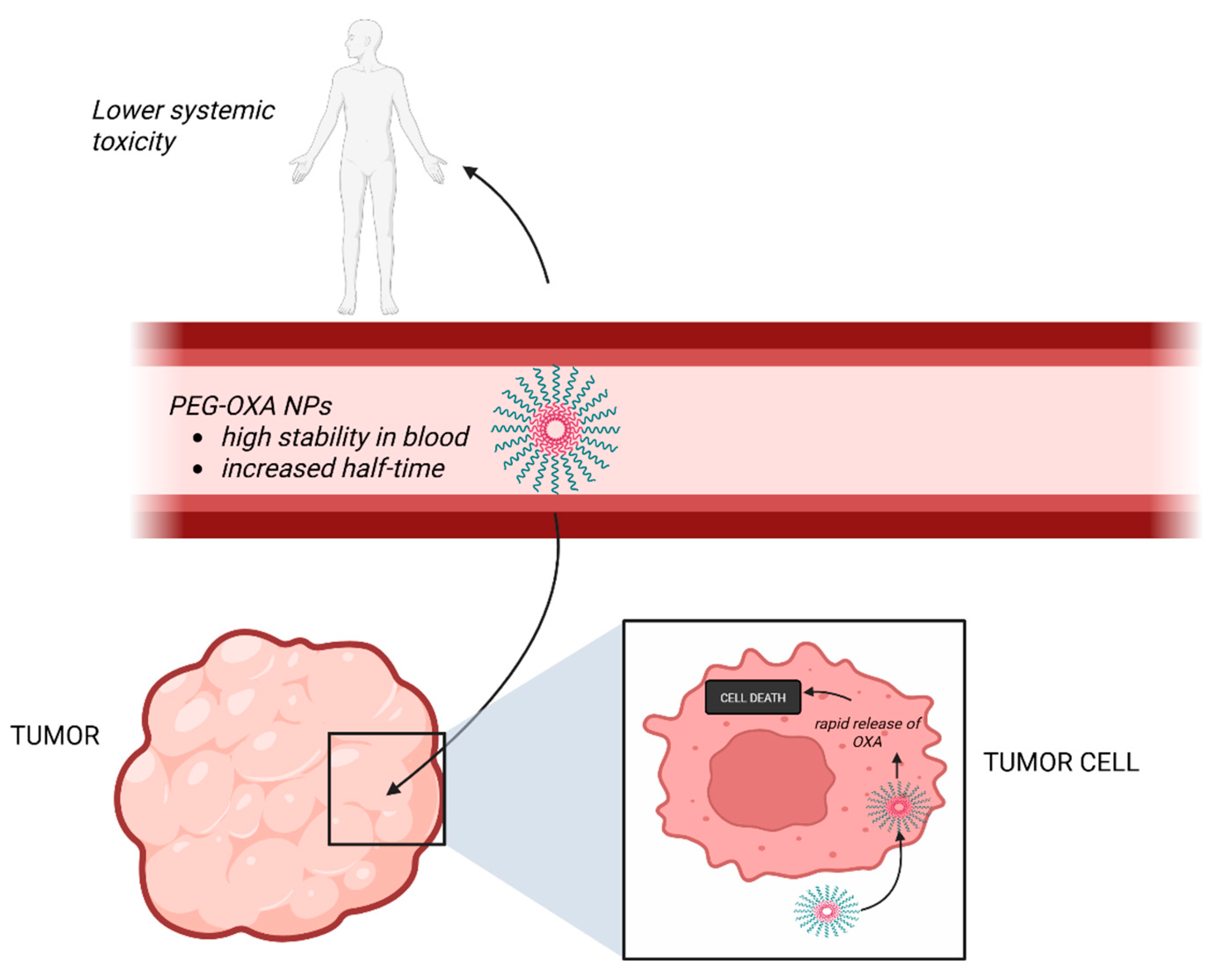 Pharmaceutics 17 01267 g004