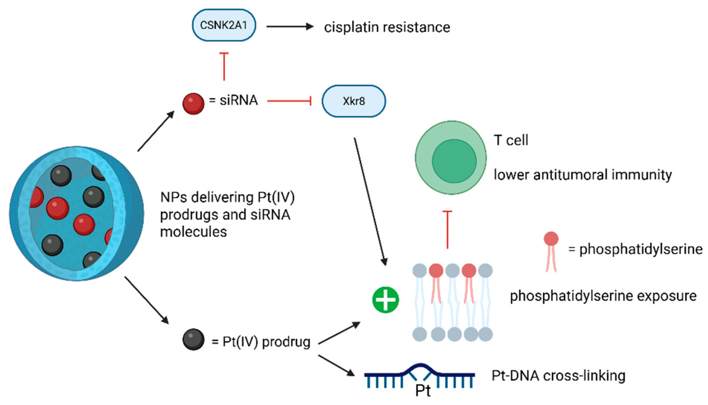Pharmaceutics 17 01267 g010