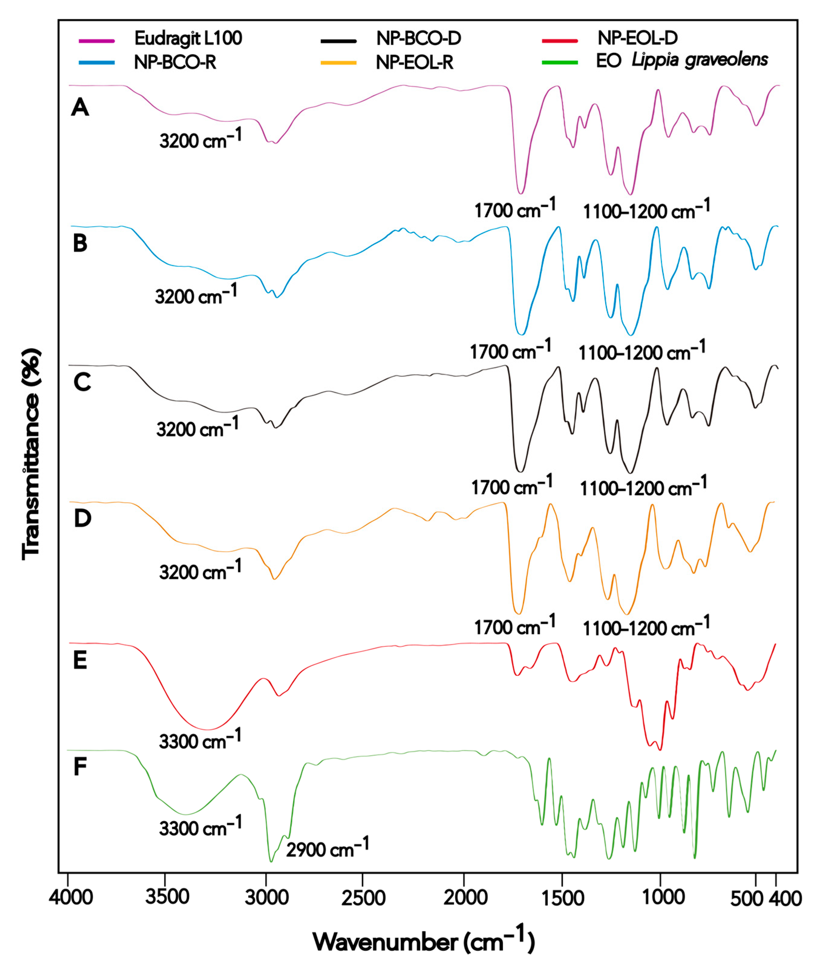 Pharmaceutics 17 01286 g002 Pharmaceutics 17 01286 g002