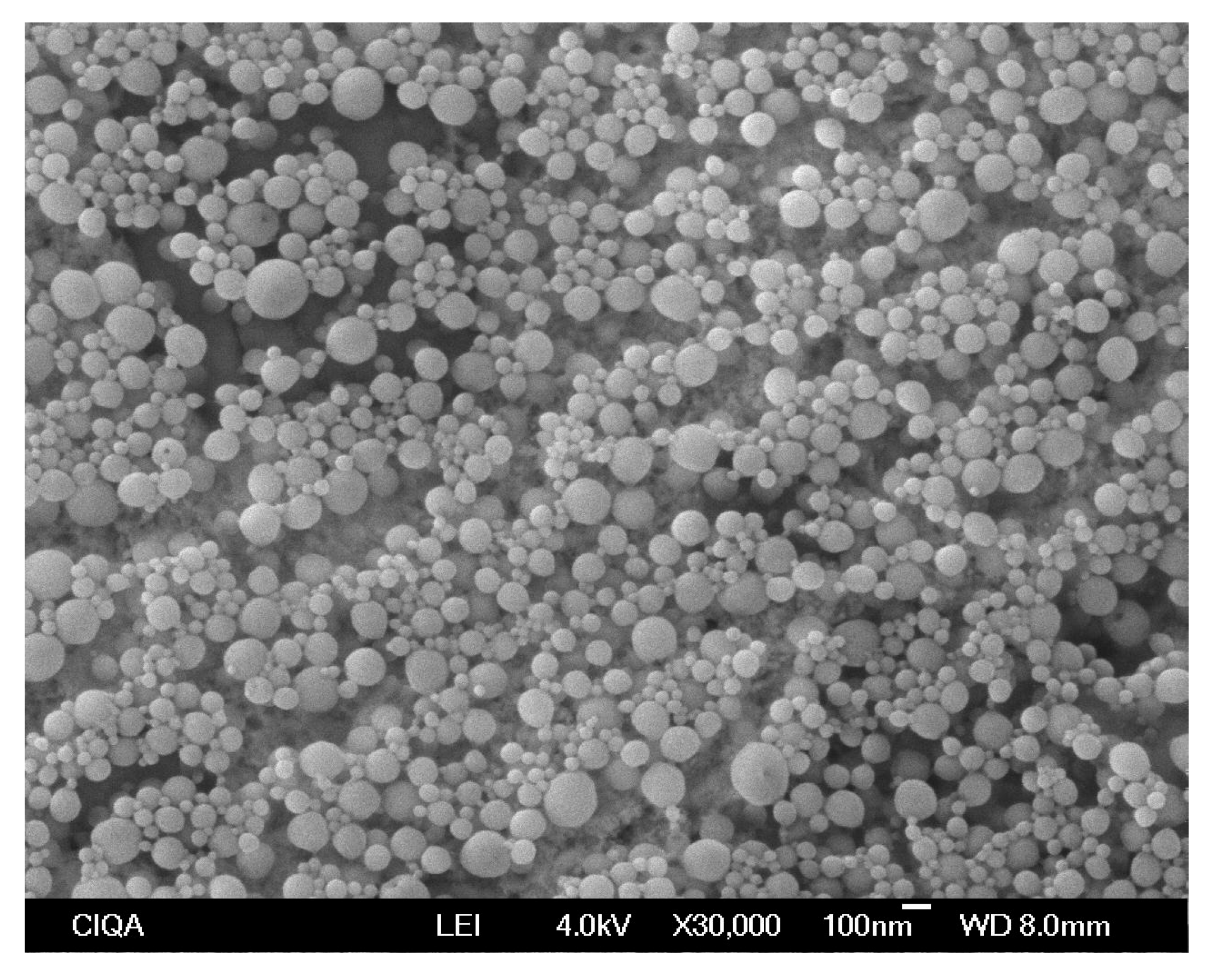 Pharmaceutics 17 01286 g003 Pharmaceutics 17 01286 g003