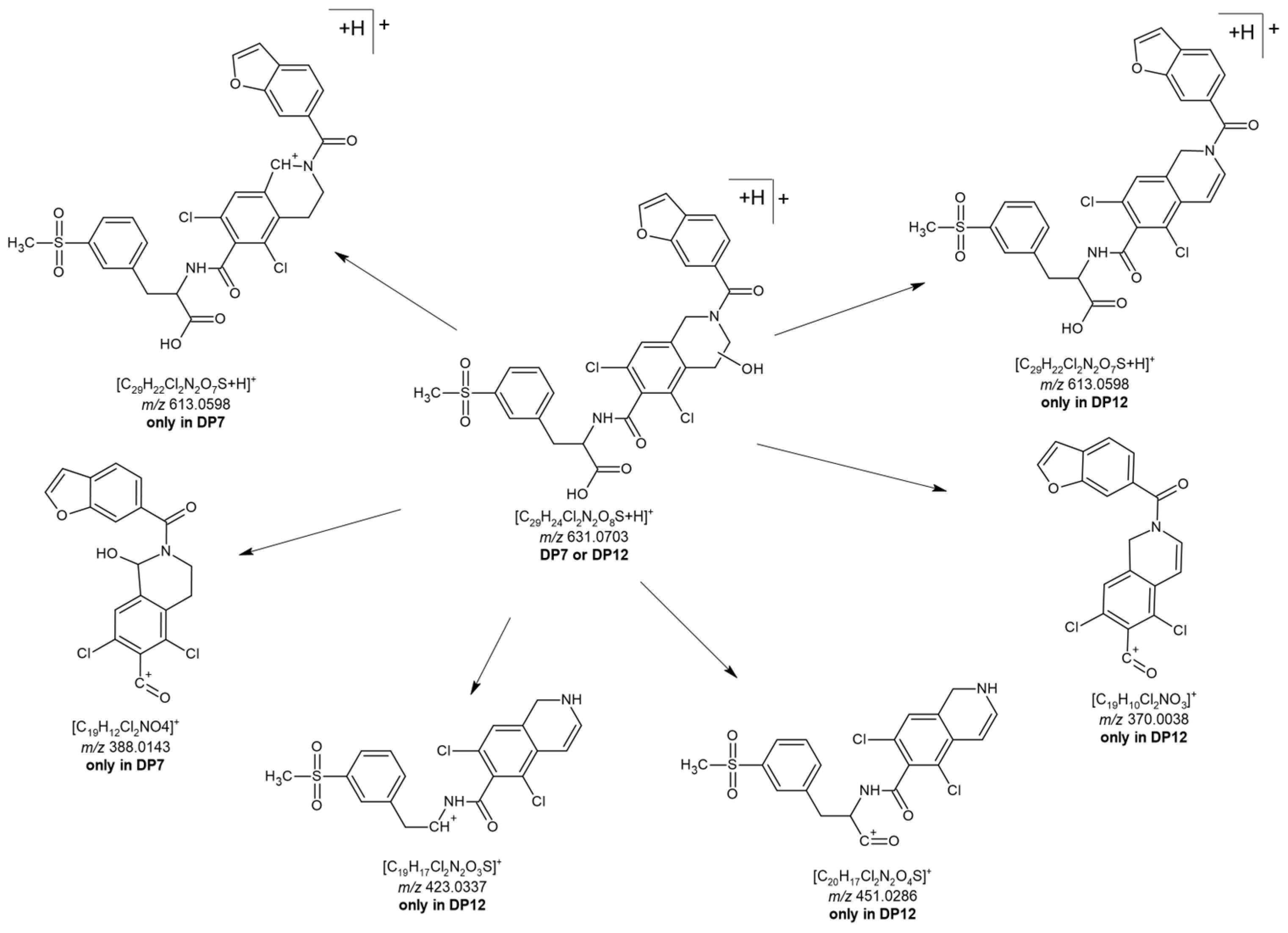 Pharmaceutics 17 01299 g008 Pharmaceutics 17 01299 g008