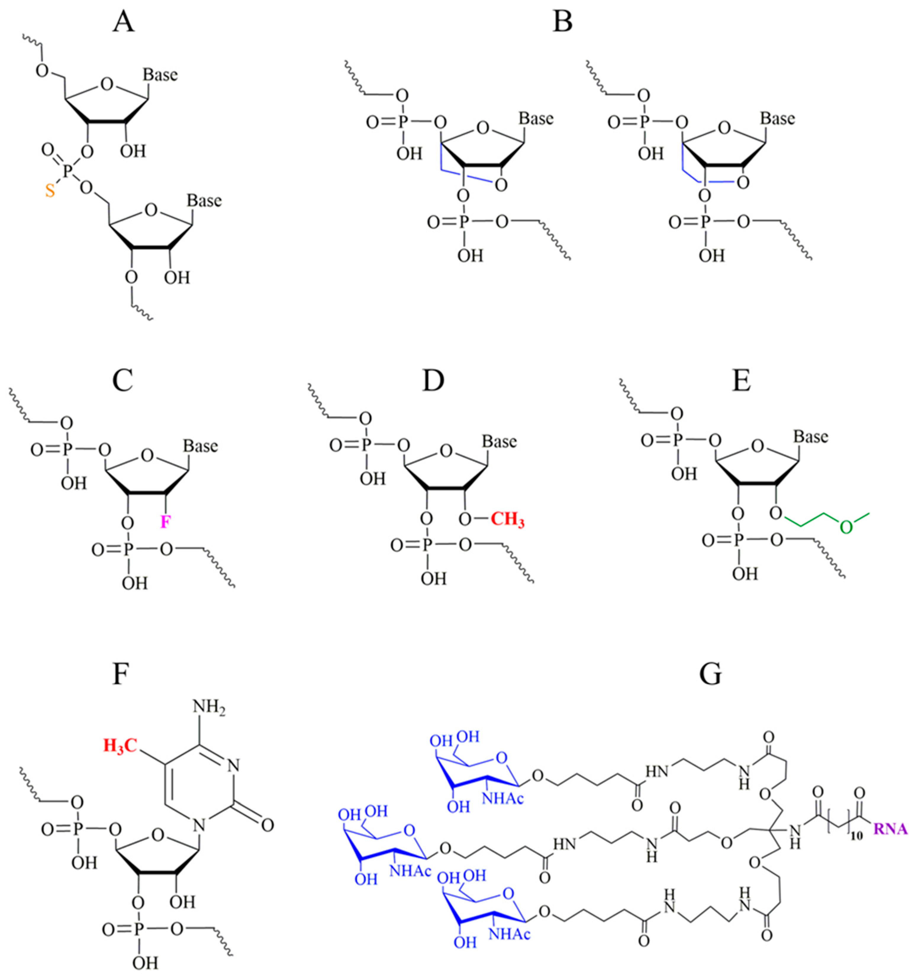 Pharmaceutics 17 01305 g001 Pharmaceutics 17 01305 g001