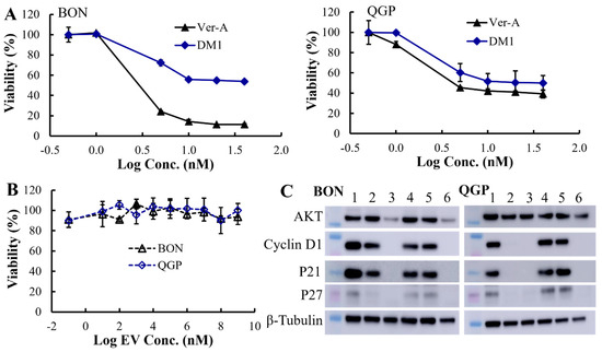 Pharmaceutics 17 01317 g003