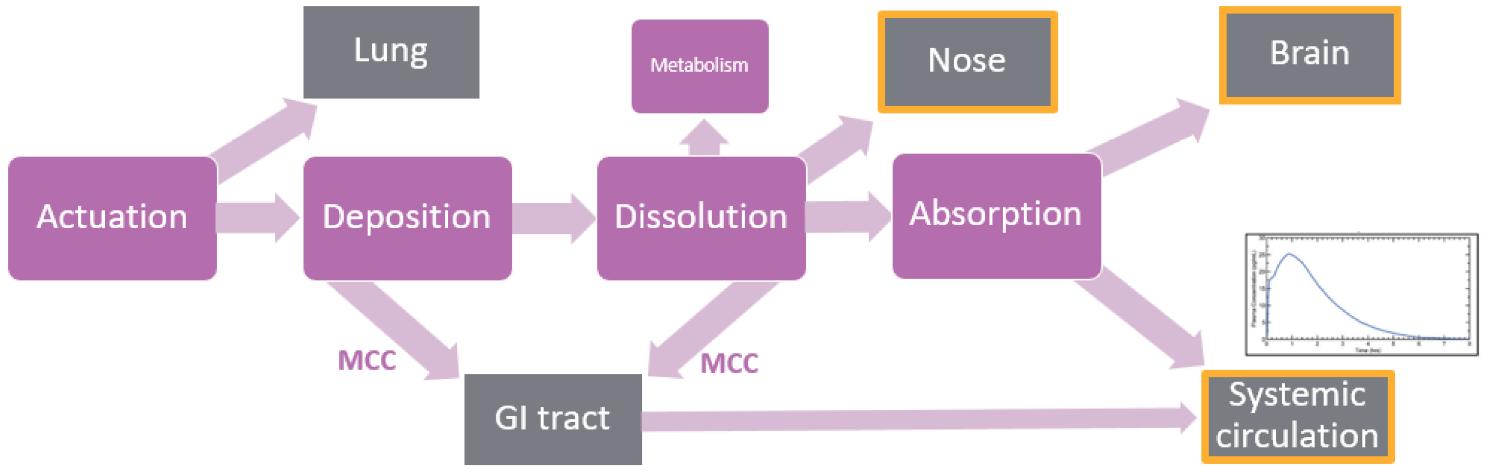 Pharmaceutics 17 01321 g002 Pharmaceutics 17 01321 g002