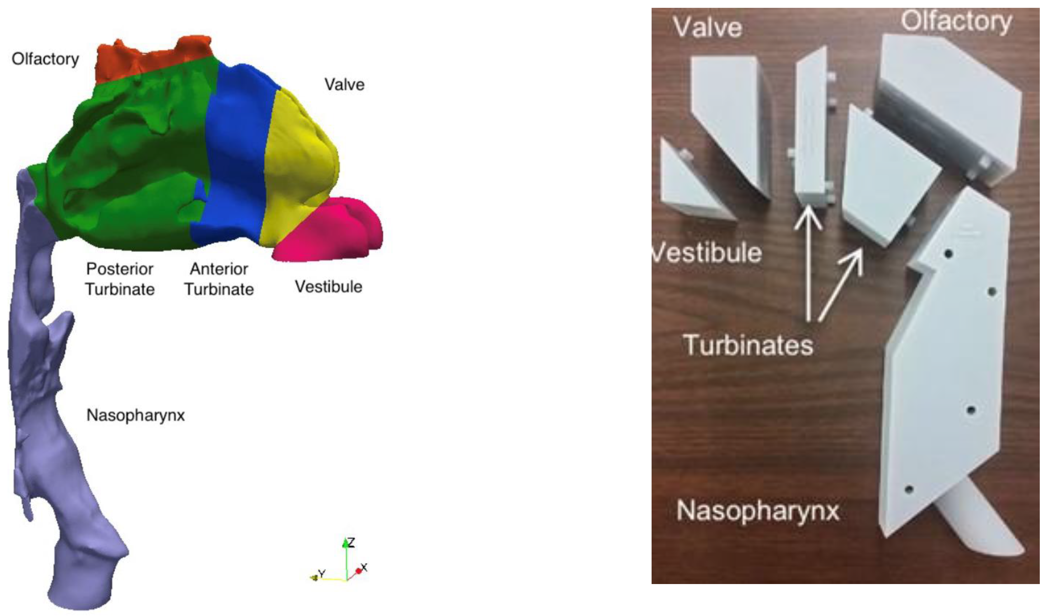 Pharmaceutics 17 01321 g003 Pharmaceutics 17 01321 g003