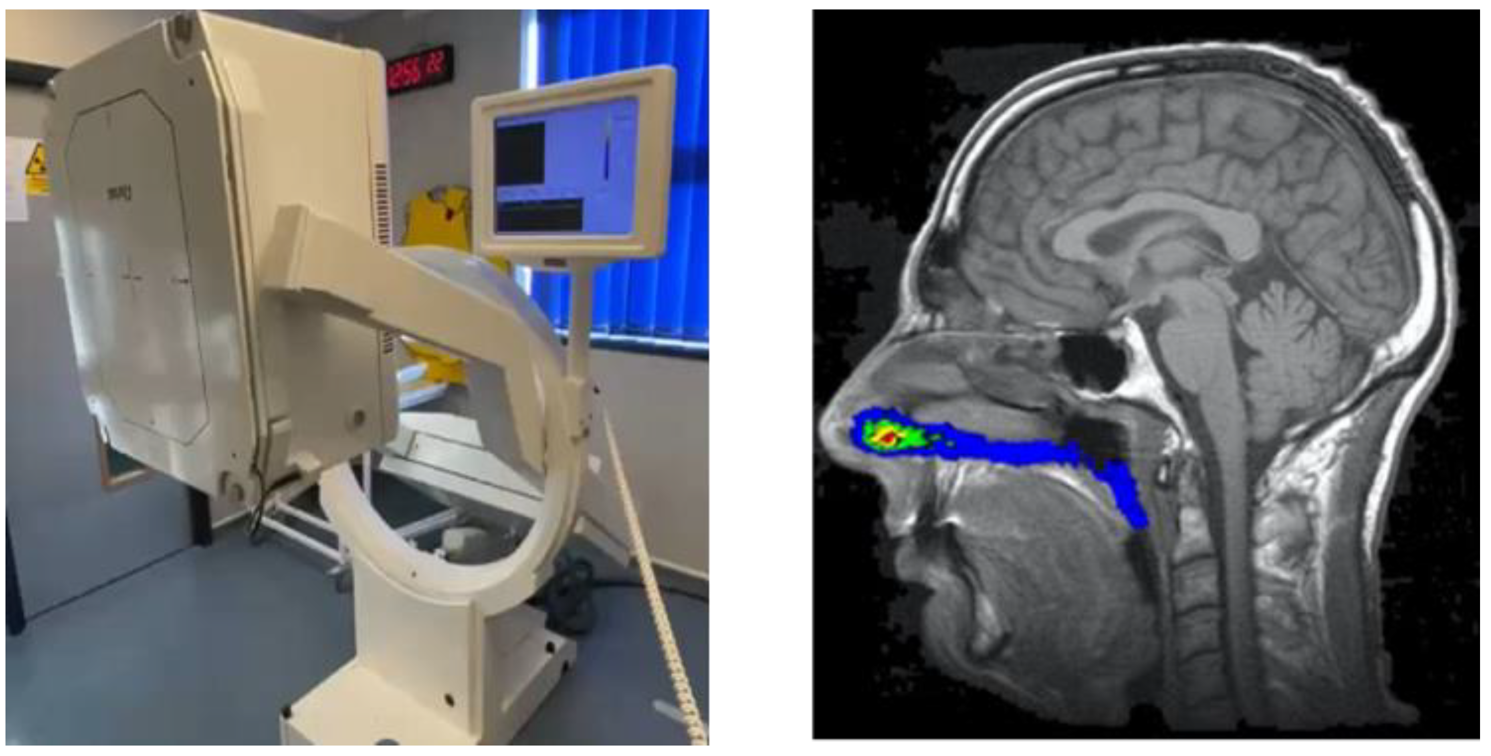 Pharmaceutics 17 01321 g005 Pharmaceutics 17 01321 g005