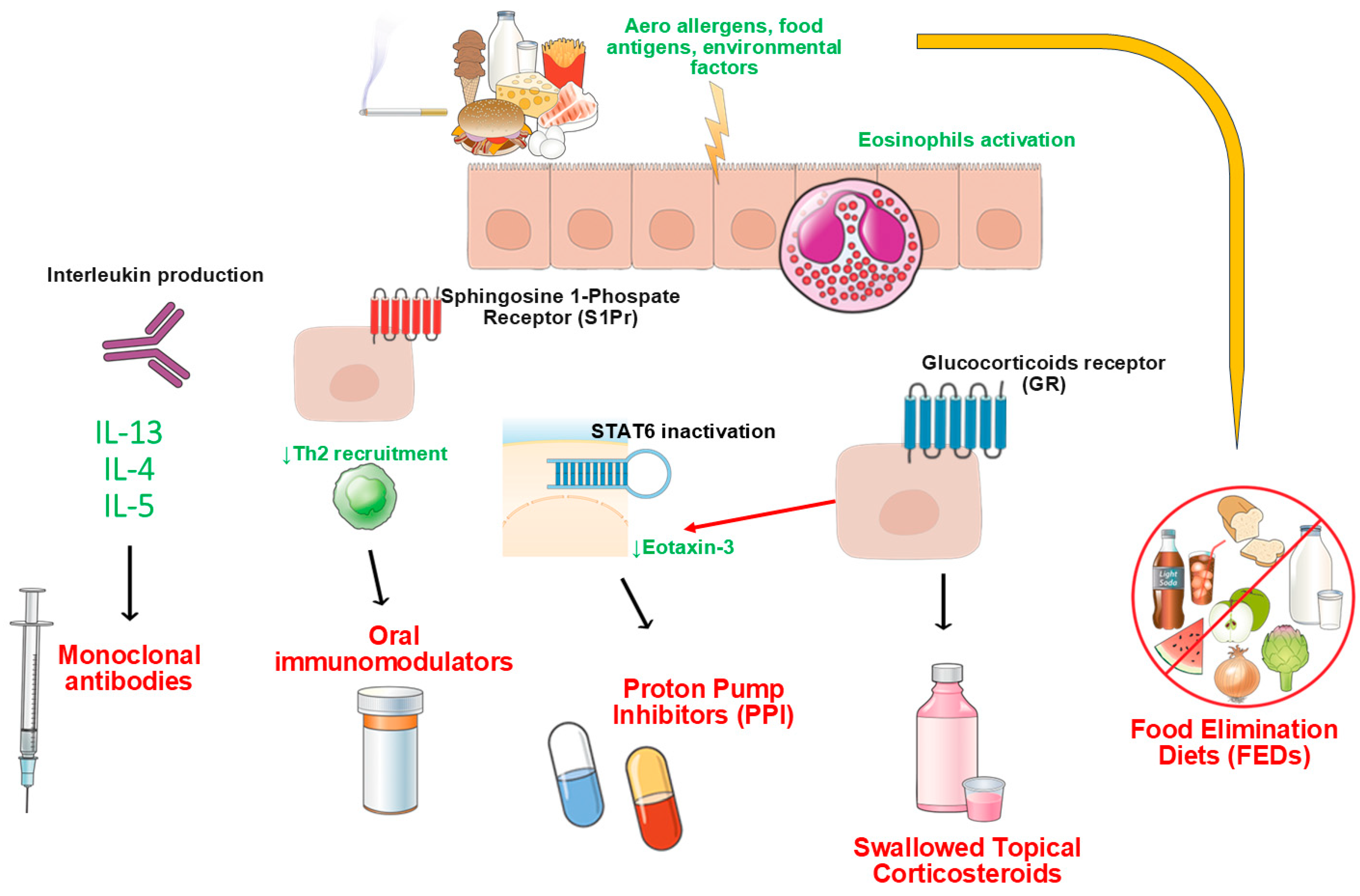 Pharmaceutics 17 01325 g001