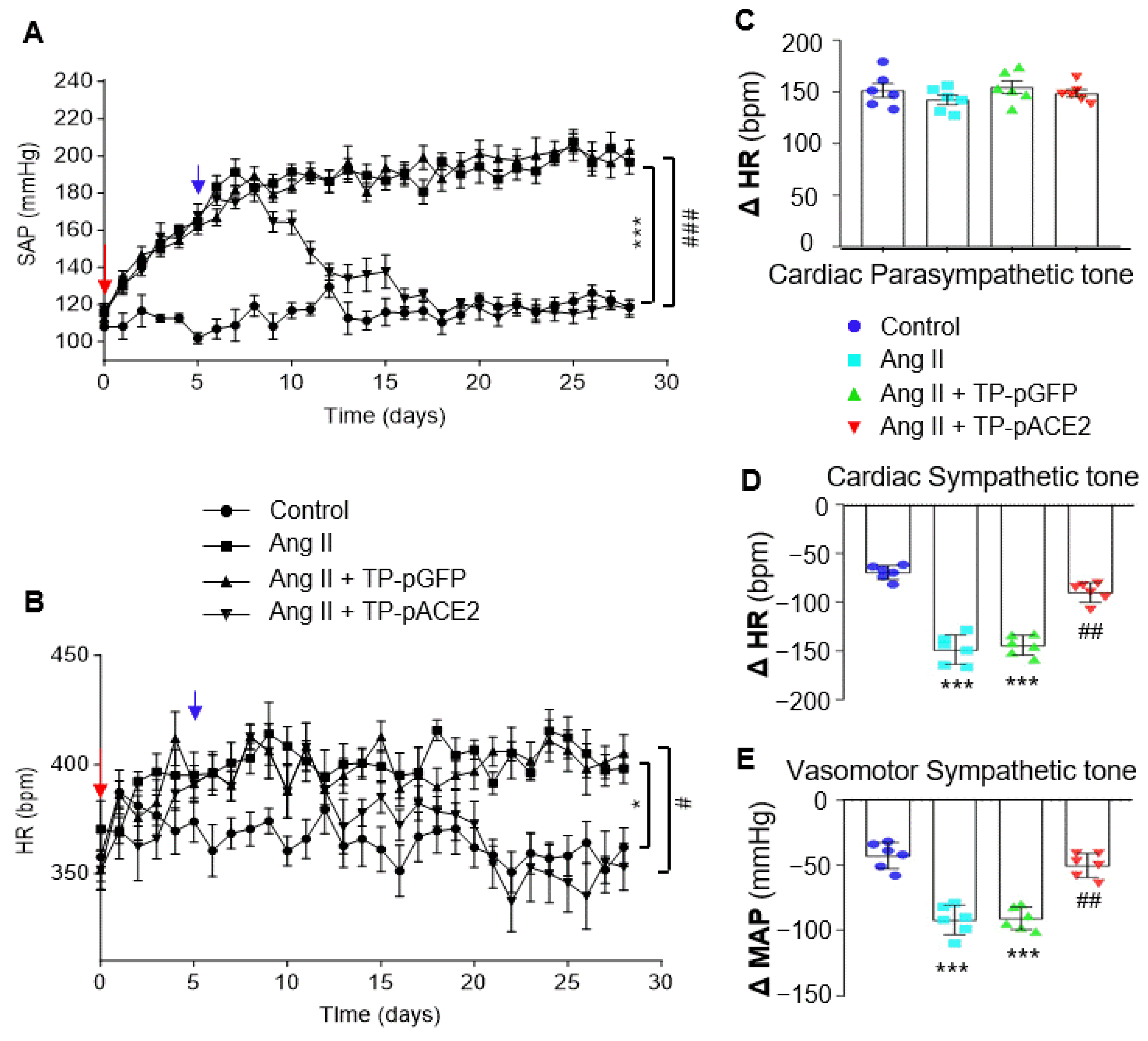 Pharmaceutics 17 01329 g005