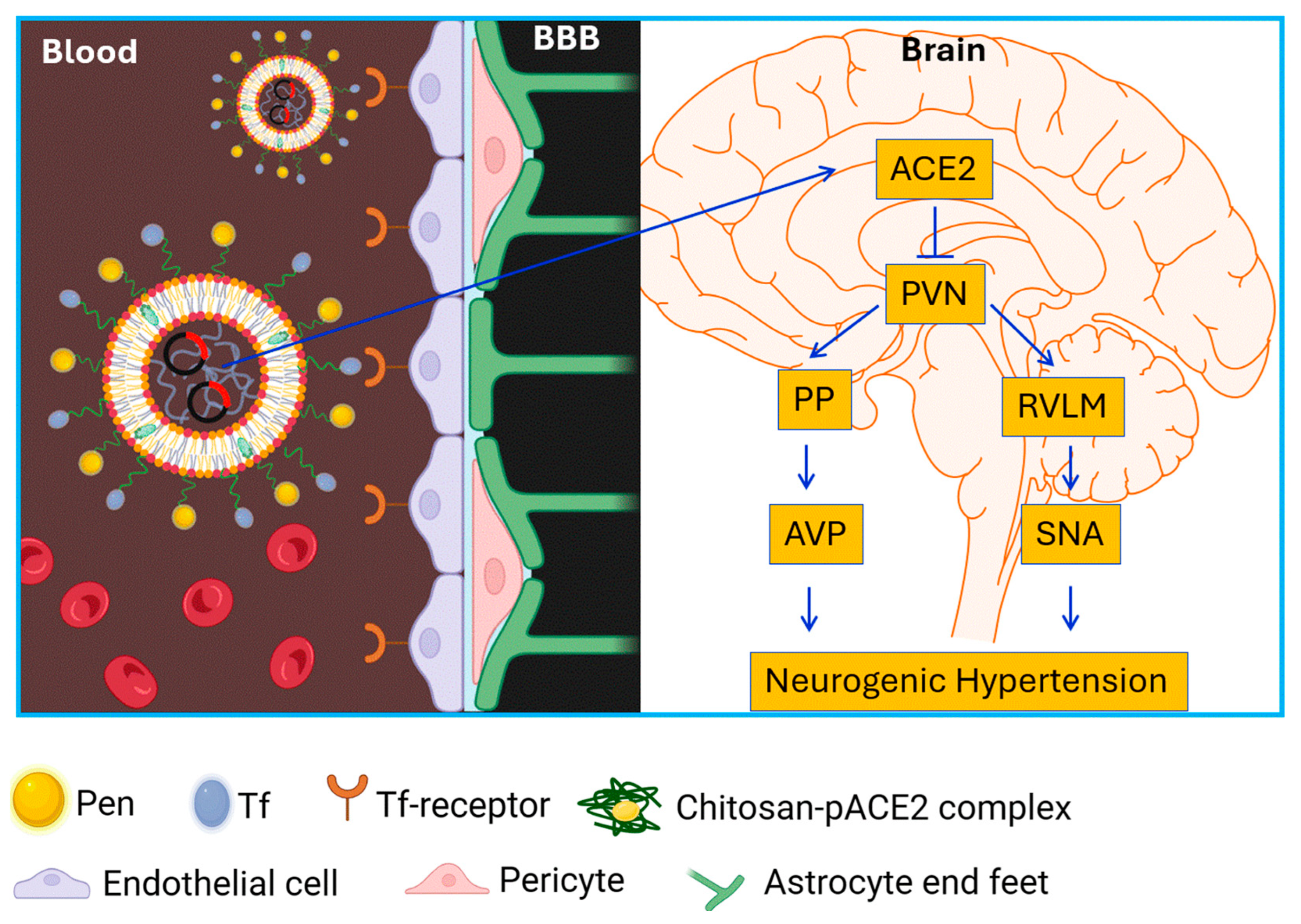 Pharmaceutics 17 01329 g008