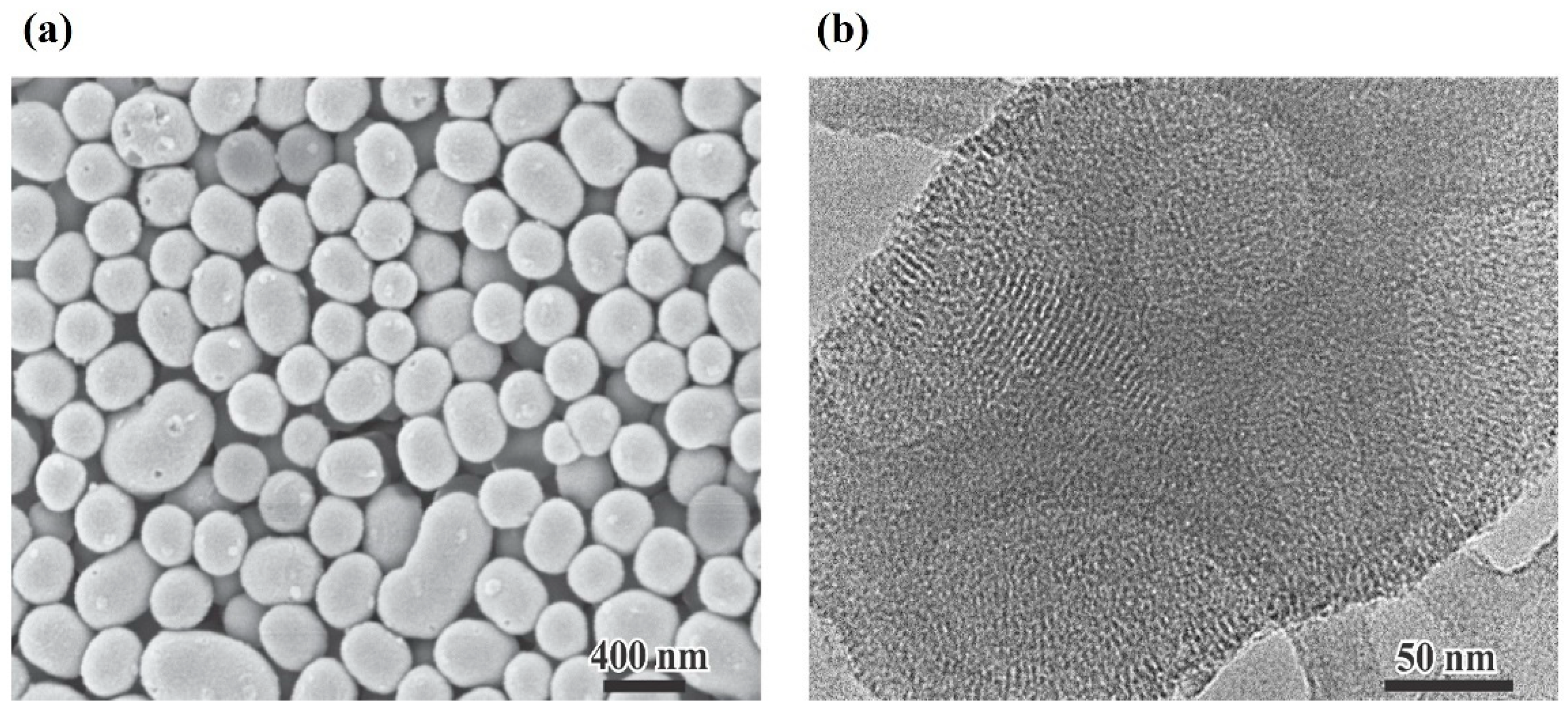 Pharmaceutics 17 01335 g001