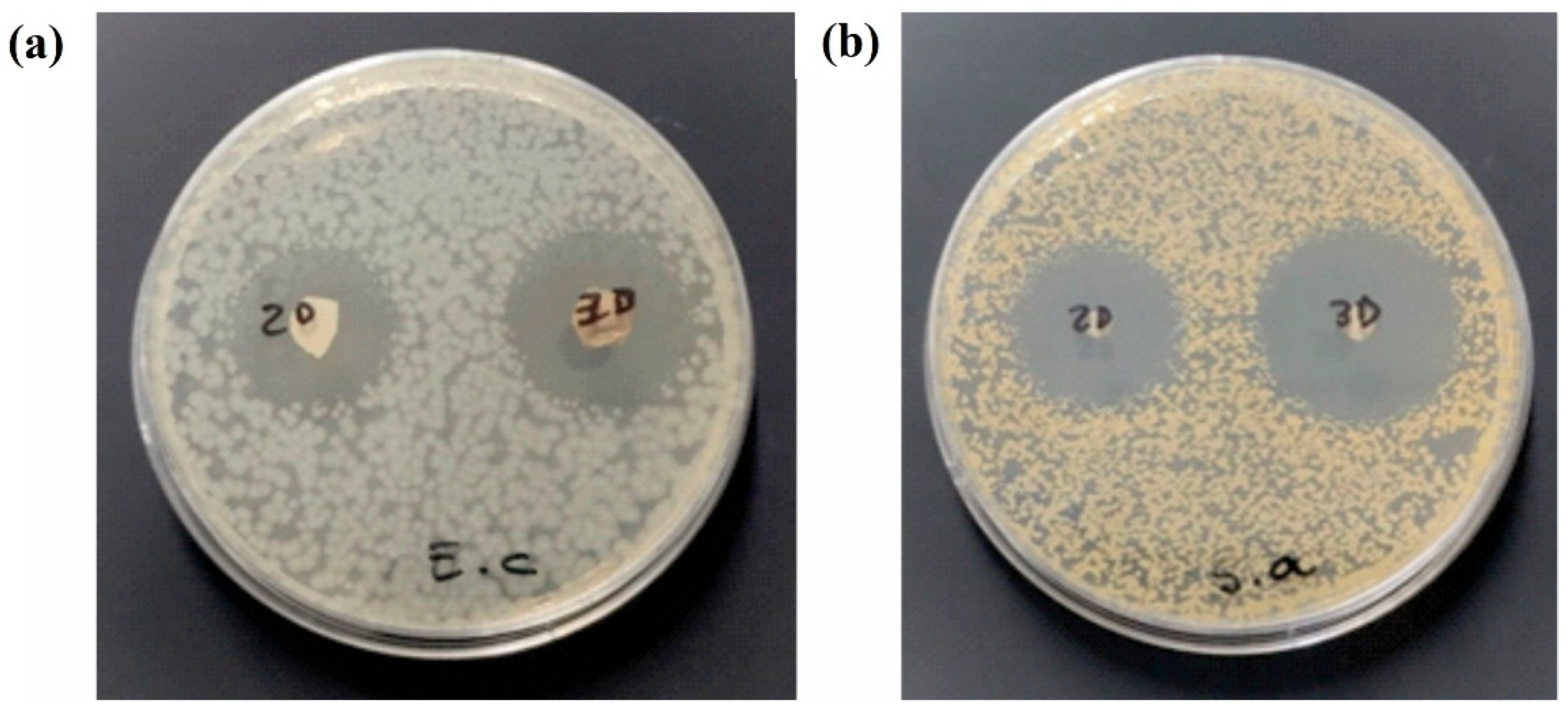 Pharmaceutics 17 01335 g009