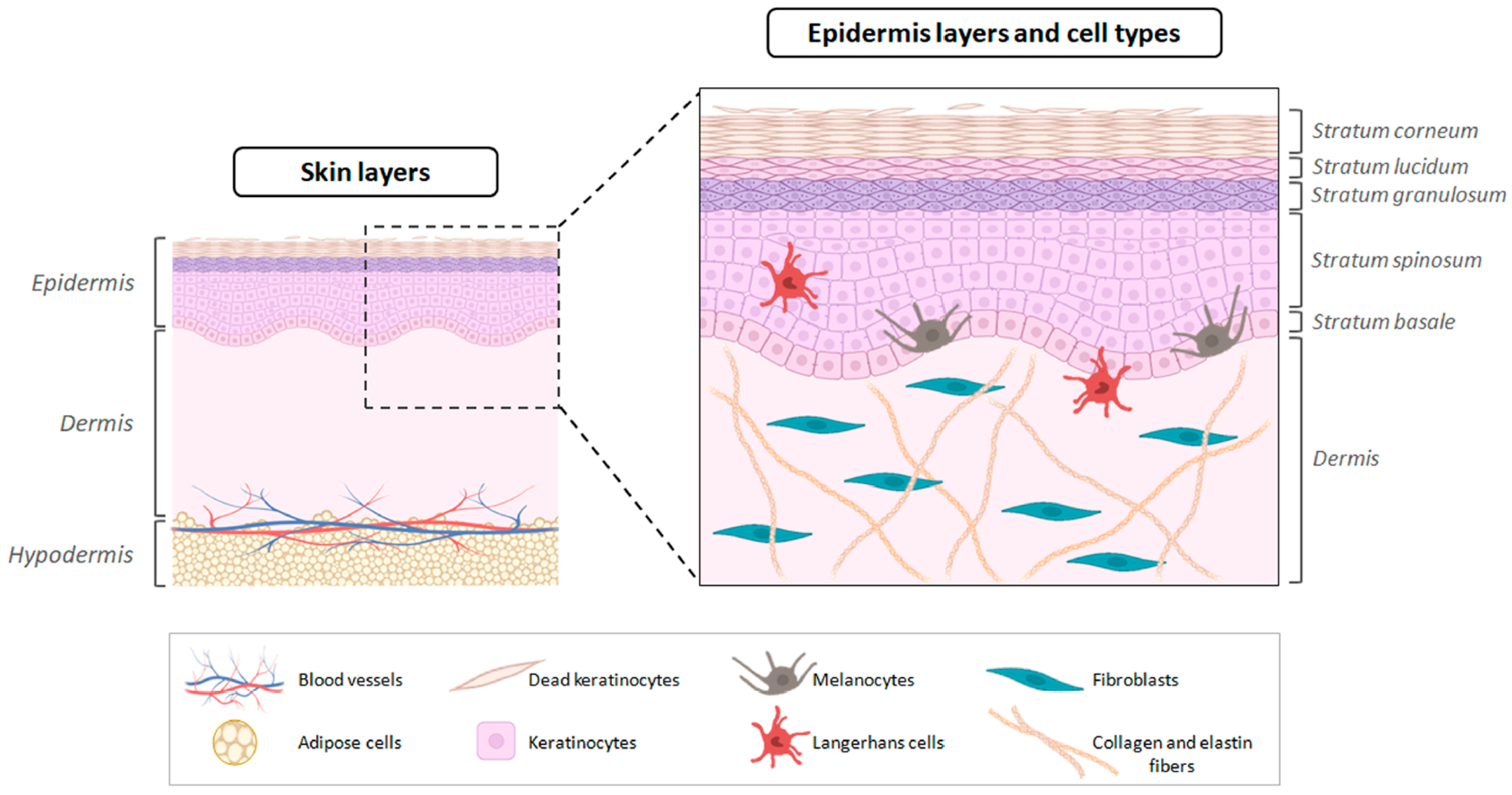 Pharmaceutics 17 01342 g001