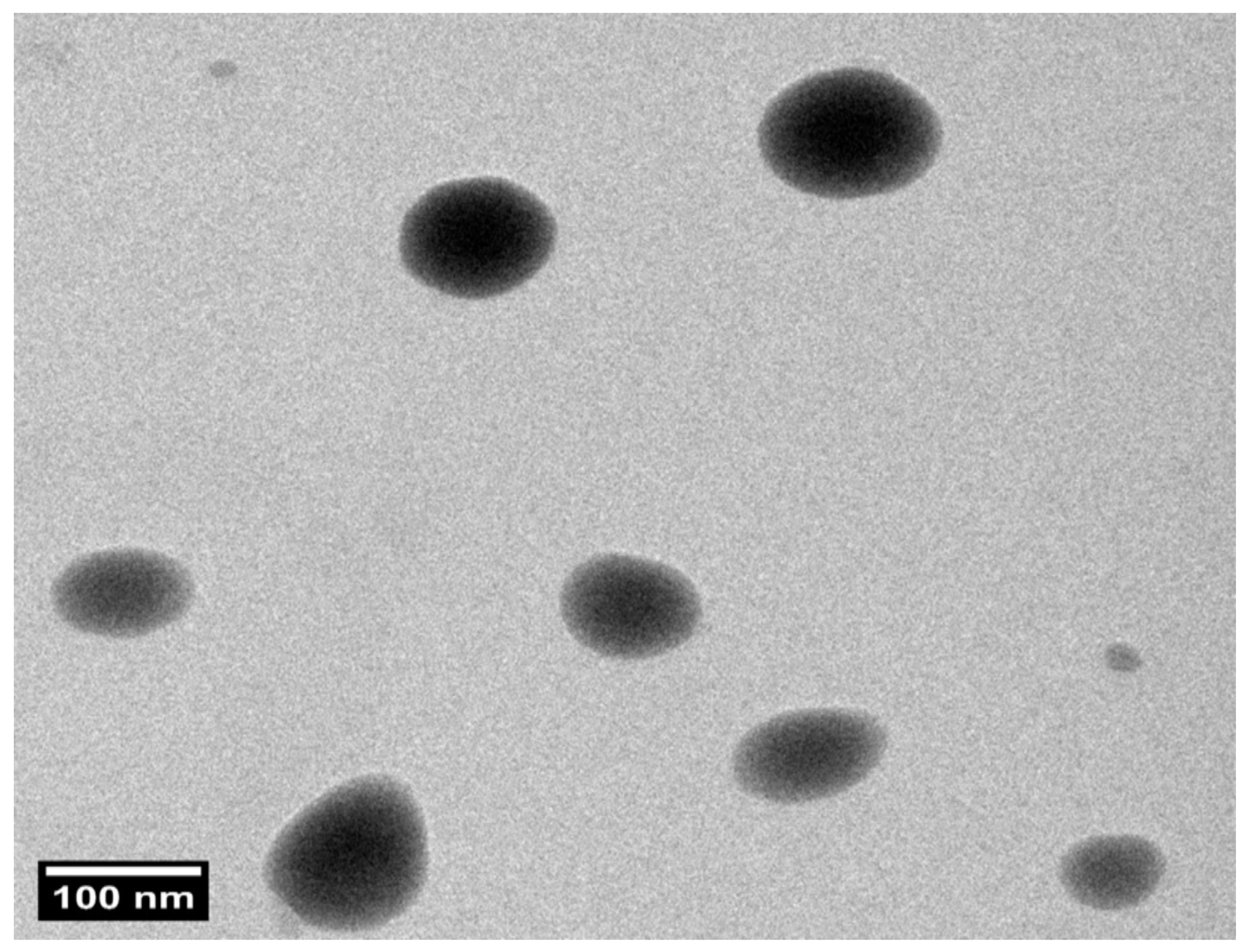 Pharmaceutics 17 01344 g004