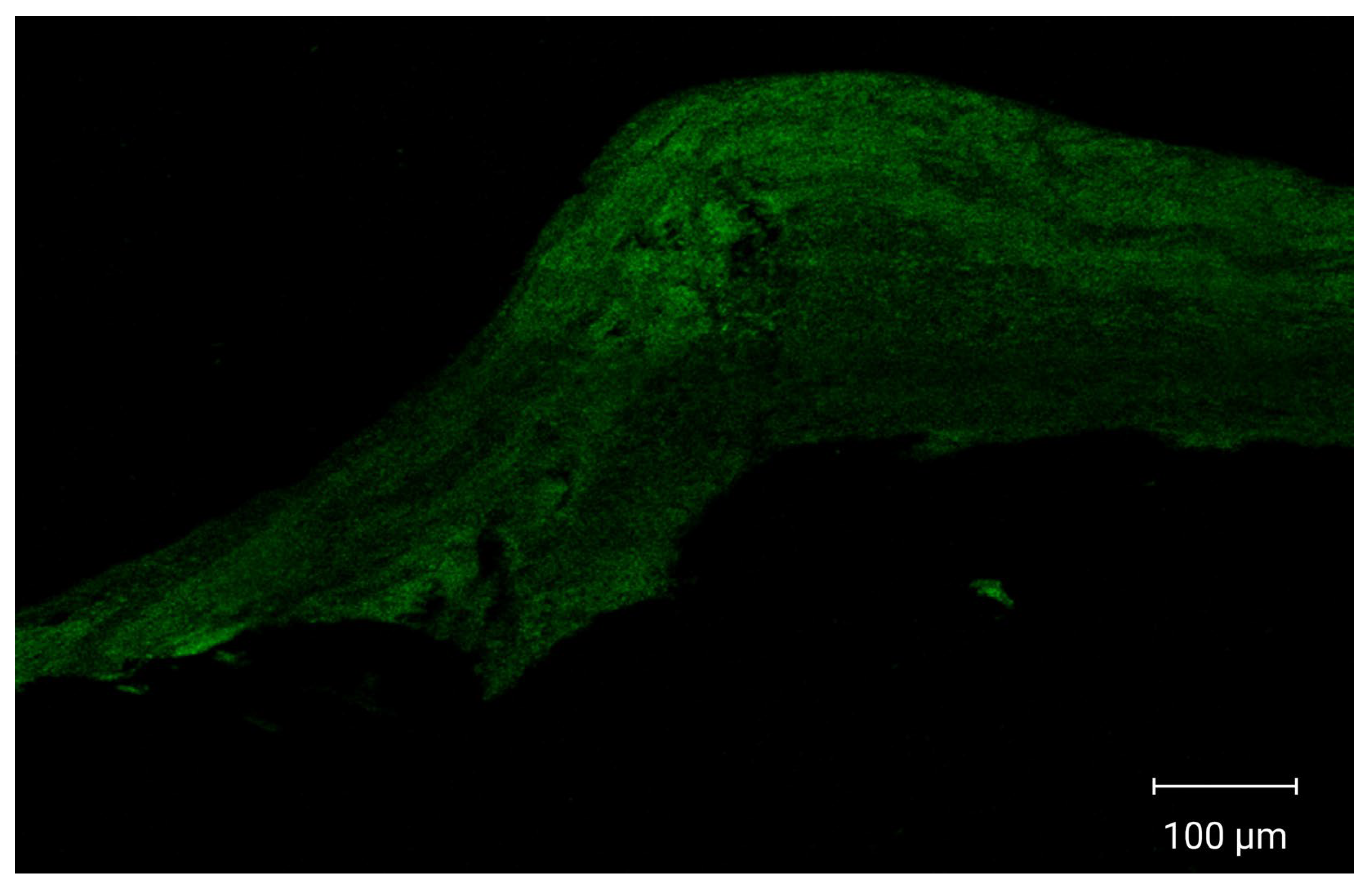 Pharmaceutics 17 01344 g006