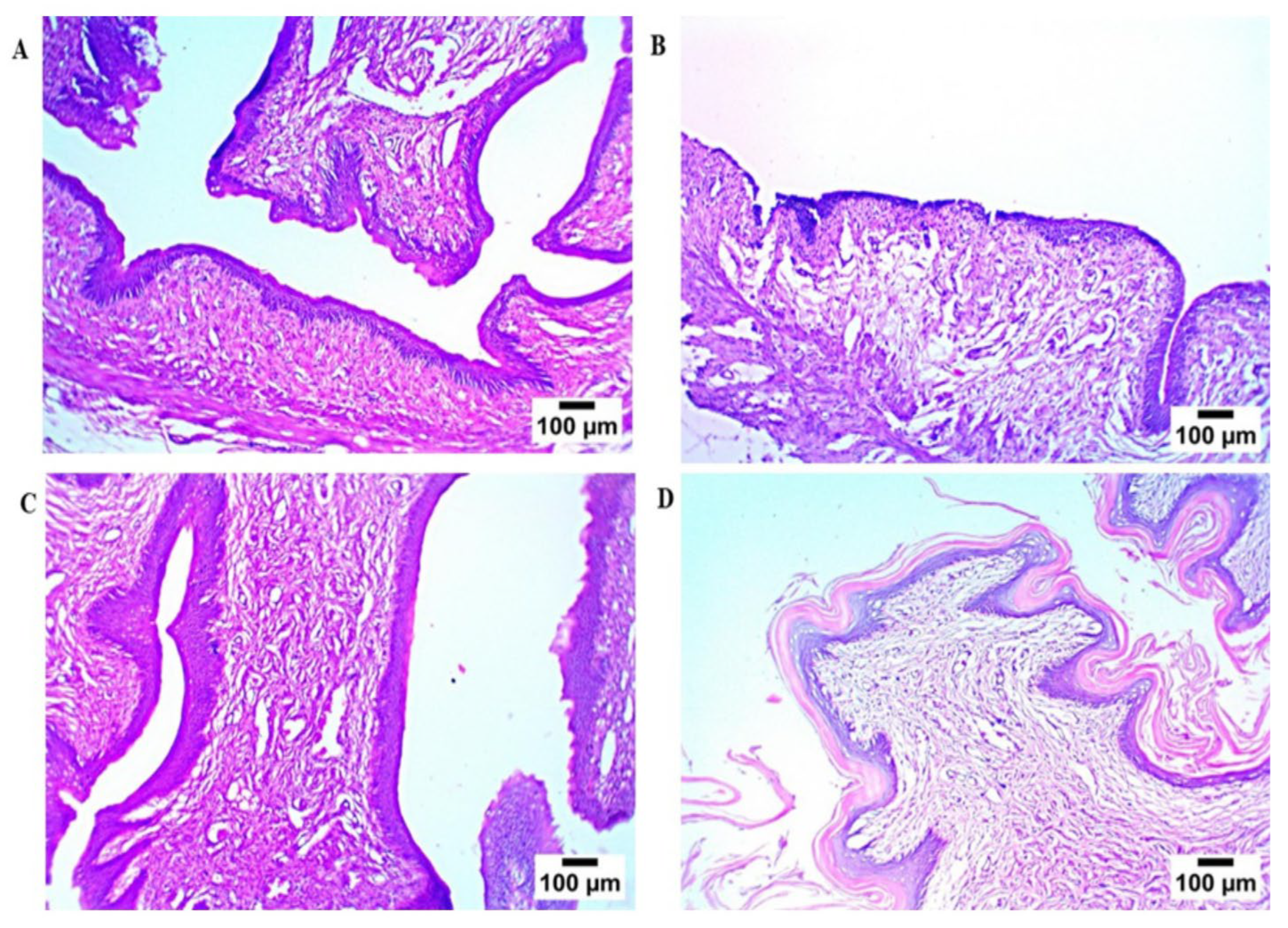 Pharmaceutics 17 01344 g008