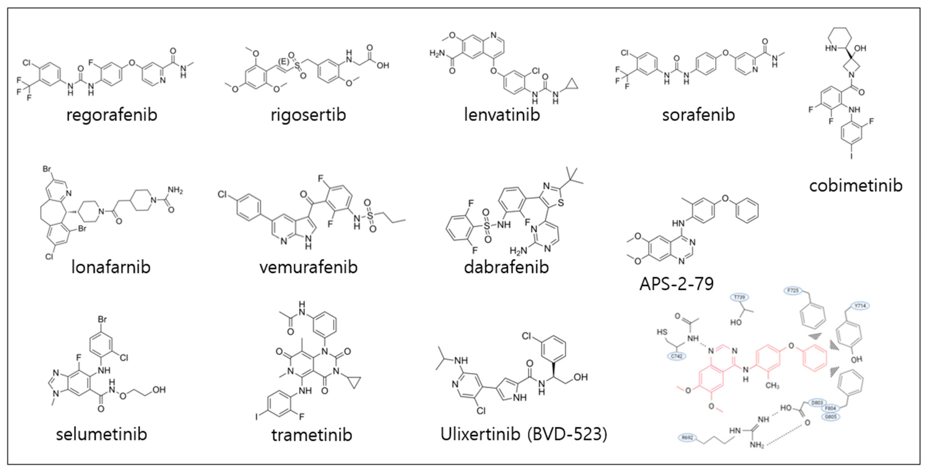 Pharmaceutics 17 01348 g007 Pharmaceutics 17 01348 g007