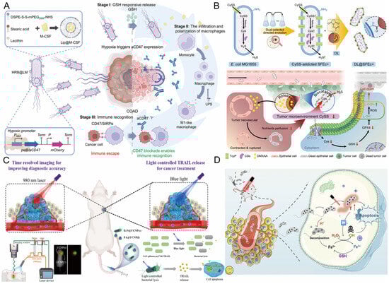 Pharmaceutics 17 01349 g002