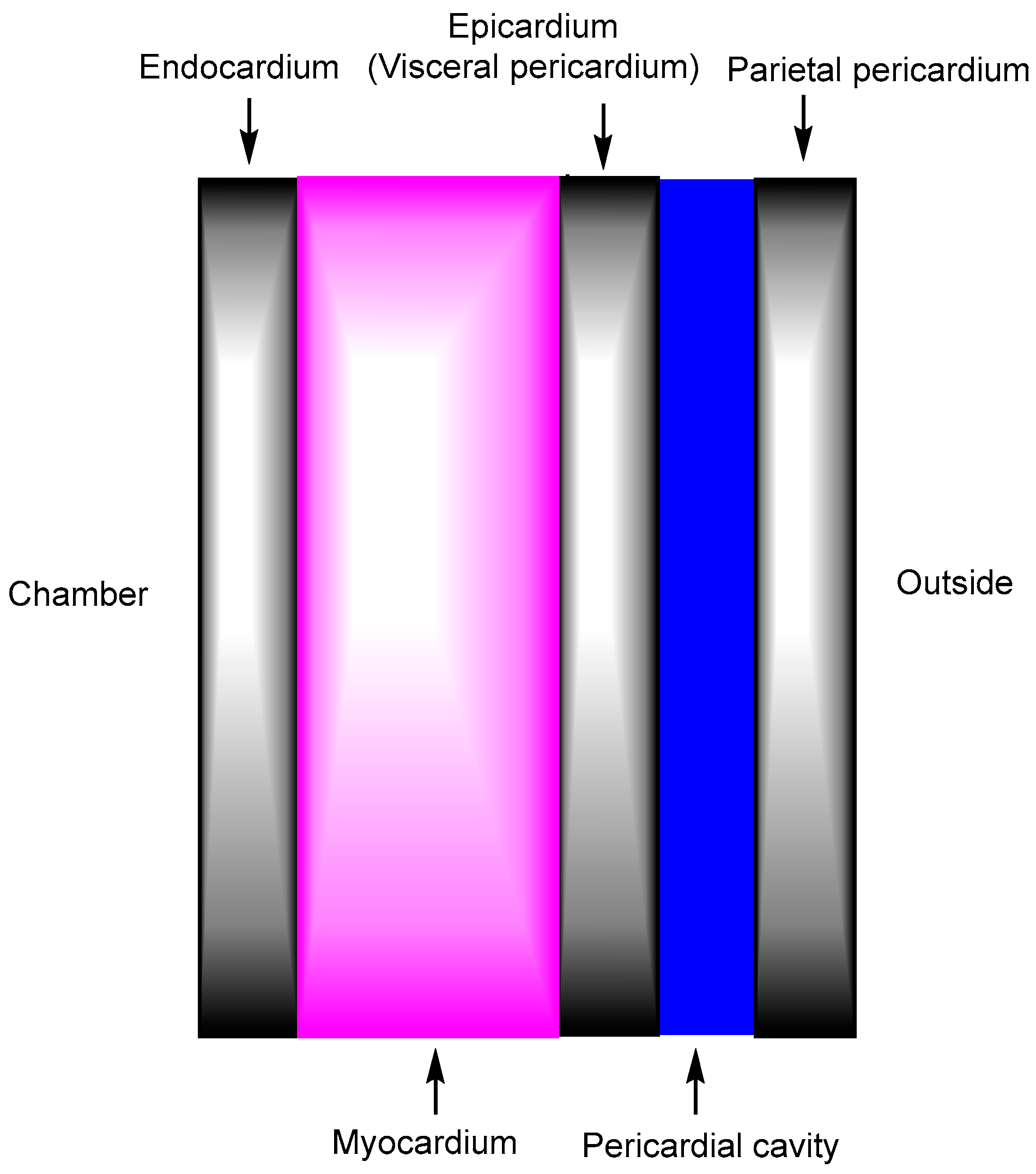 Pharmaceutics 17 01365 g003