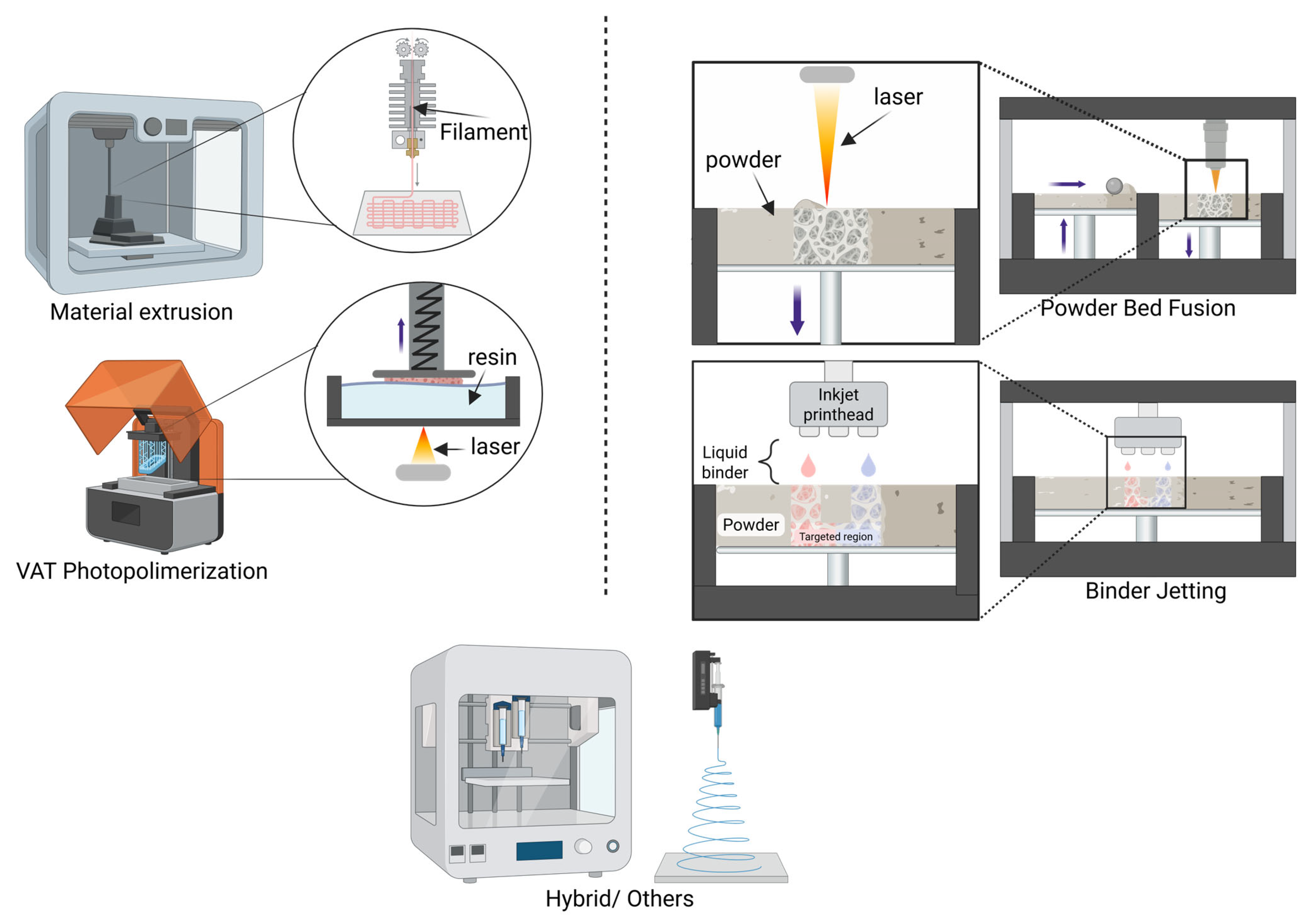 Pharmaceutics 17 01372 g001 Pharmaceutics 17 01372 g001