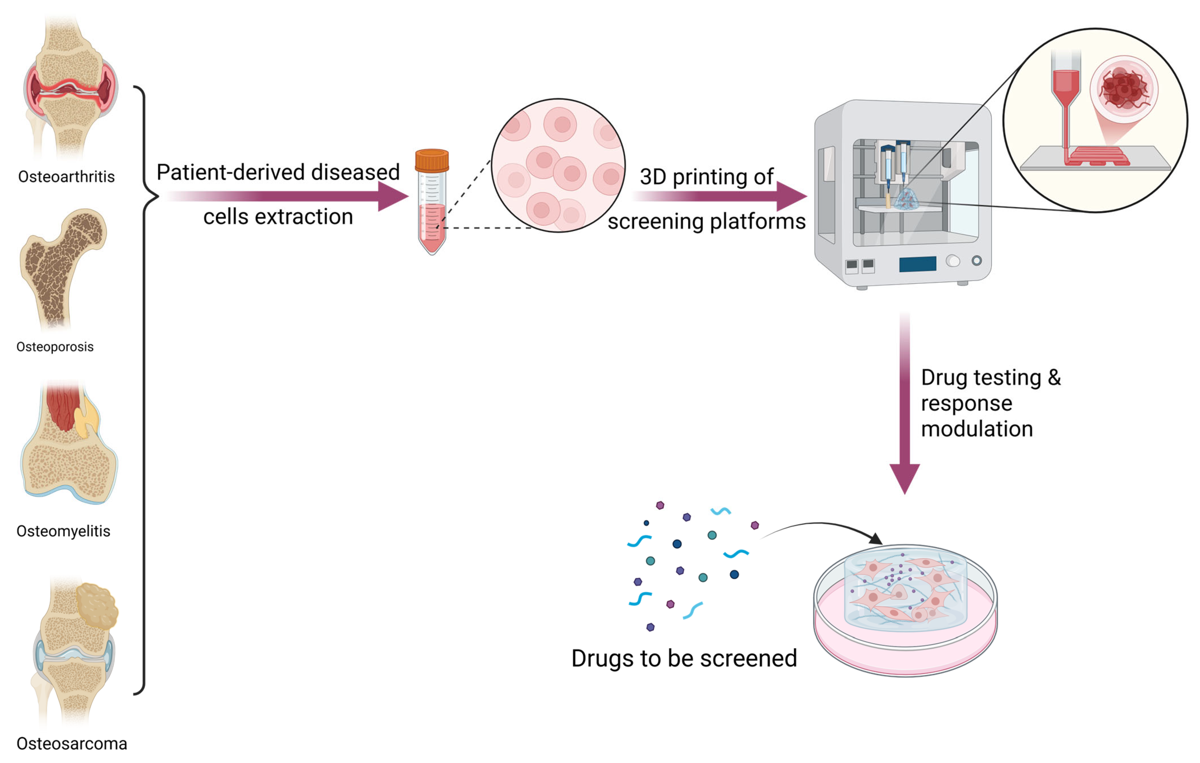 Pharmaceutics 17 01372 g003 Pharmaceutics 17 01372 g003