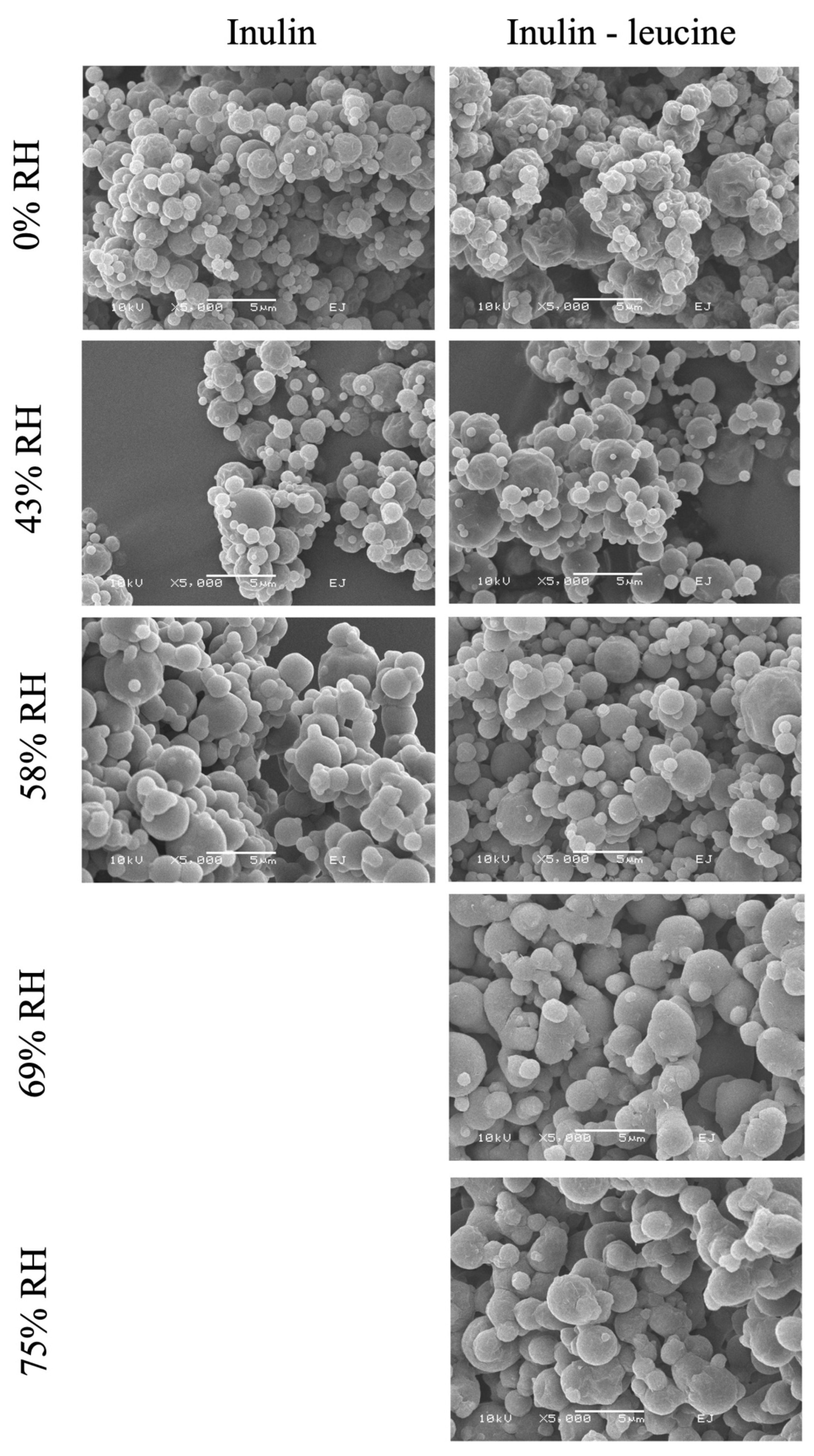 Pharmaceutics 17 01391 g004