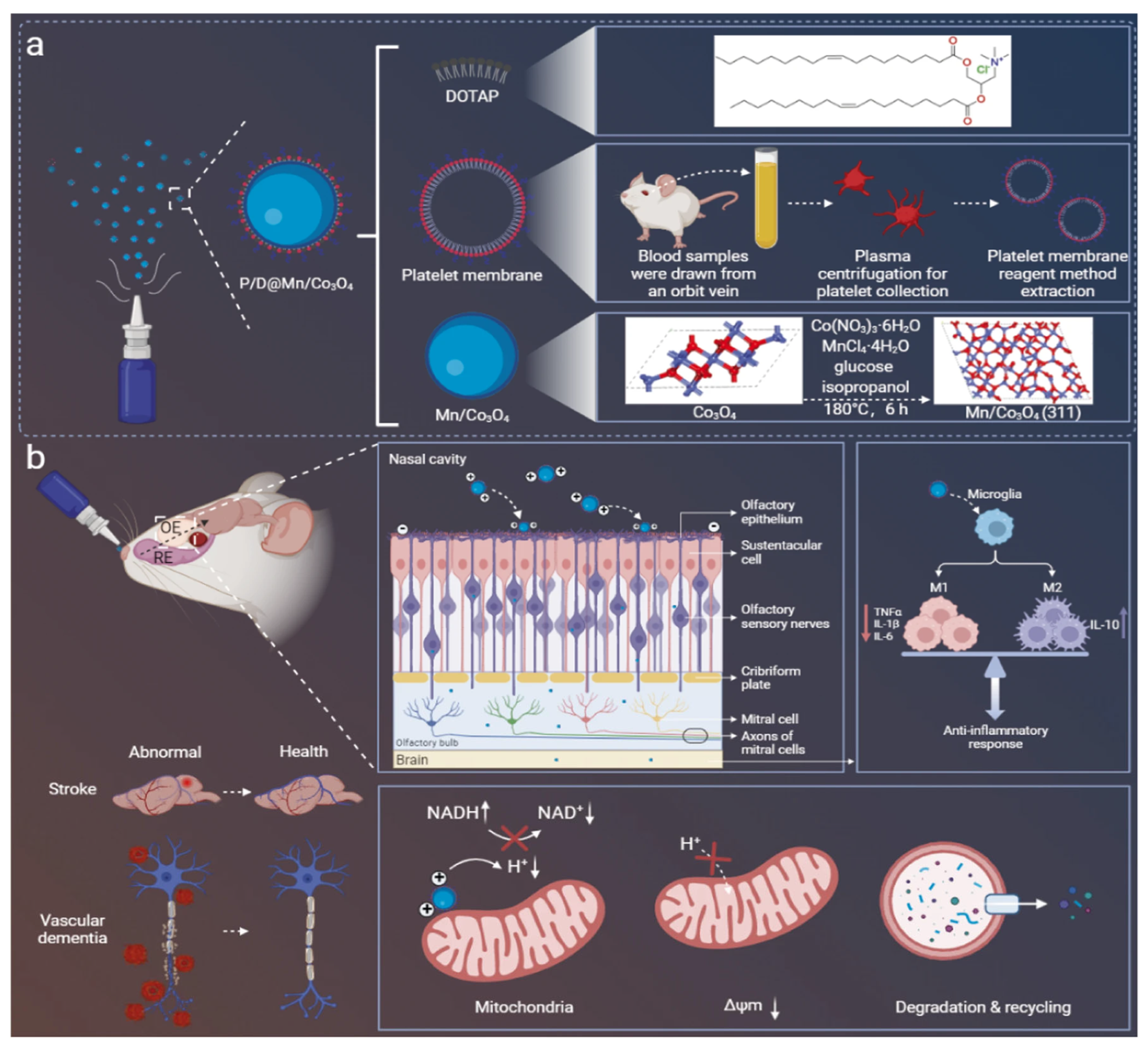 Pharmaceutics 17 01447 g005 Pharmaceutics 17 01447 g005