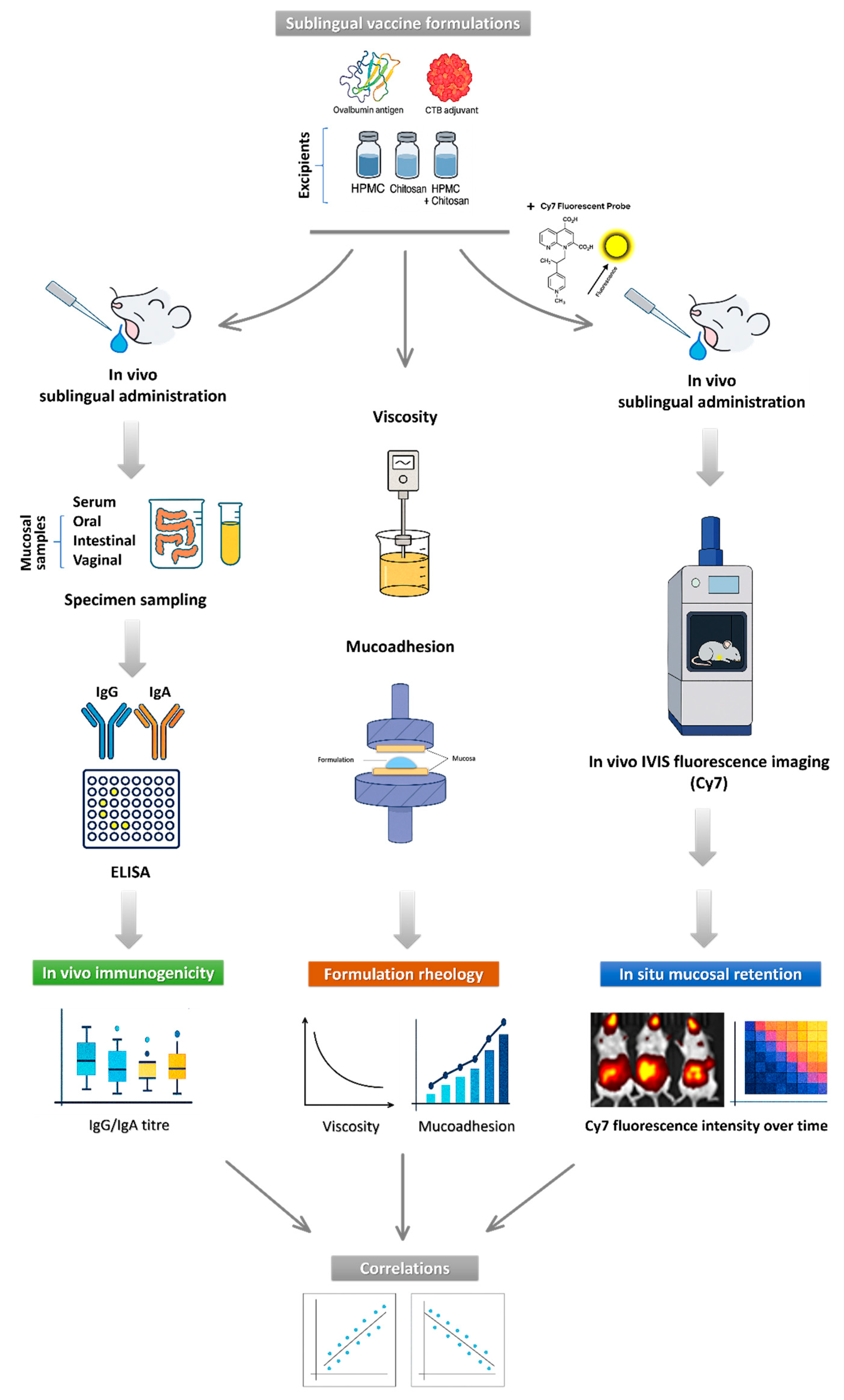 Pharmaceutics 17 01456 g002 Pharmaceutics 17 01456 g002