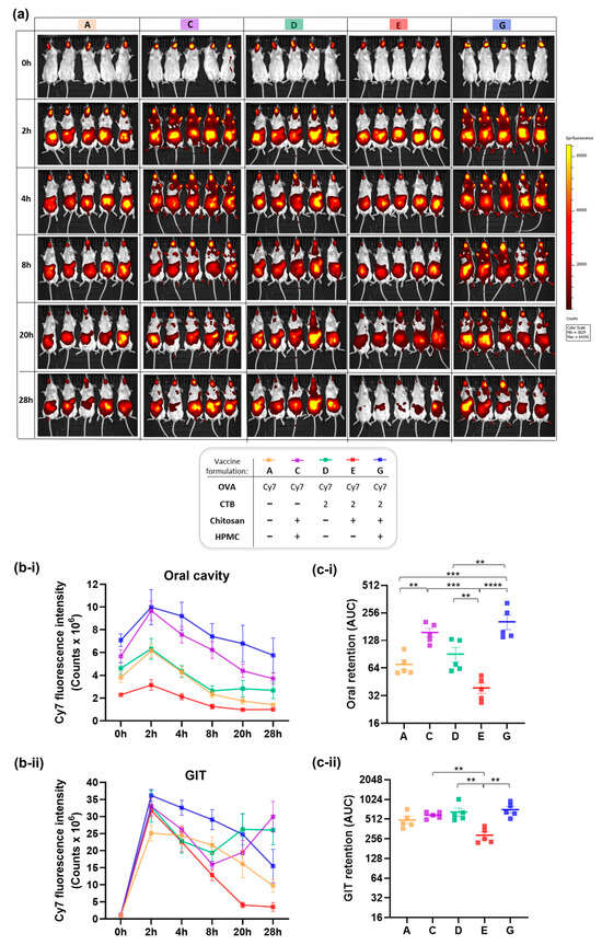 Pharmaceutics 17 01456 g004