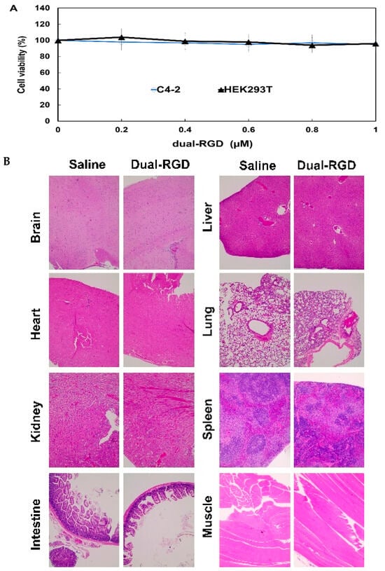 Pharmaceutics 17 01462 g008