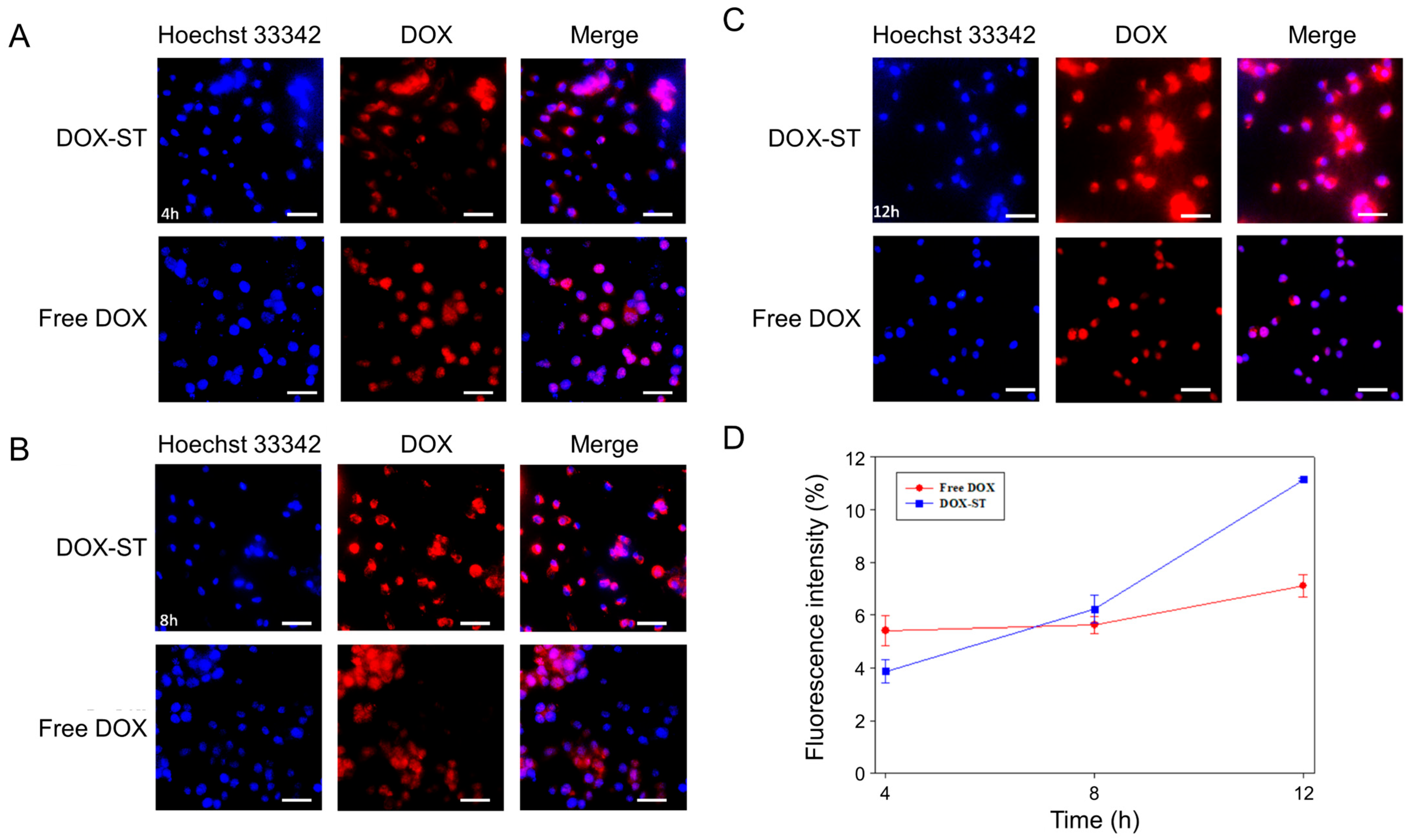 Pharmaceutics 17 01574 g007