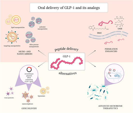 Oral Treatment of Obesity by GLP-1 and Its Analogs | MDPI - Glp-1 Analogs For Obesity Treatment In Humans