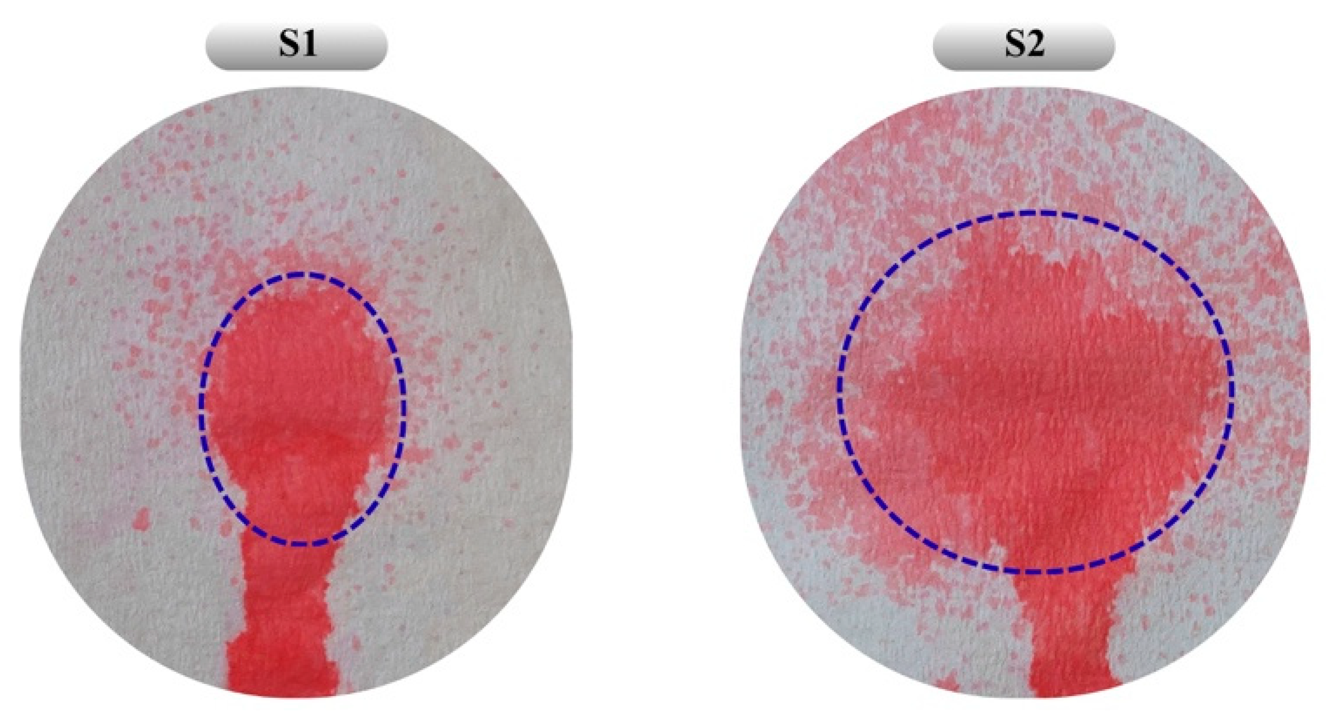 Pharmaceutics 17 01607 g006 Pharmaceutics 17 01607 g006