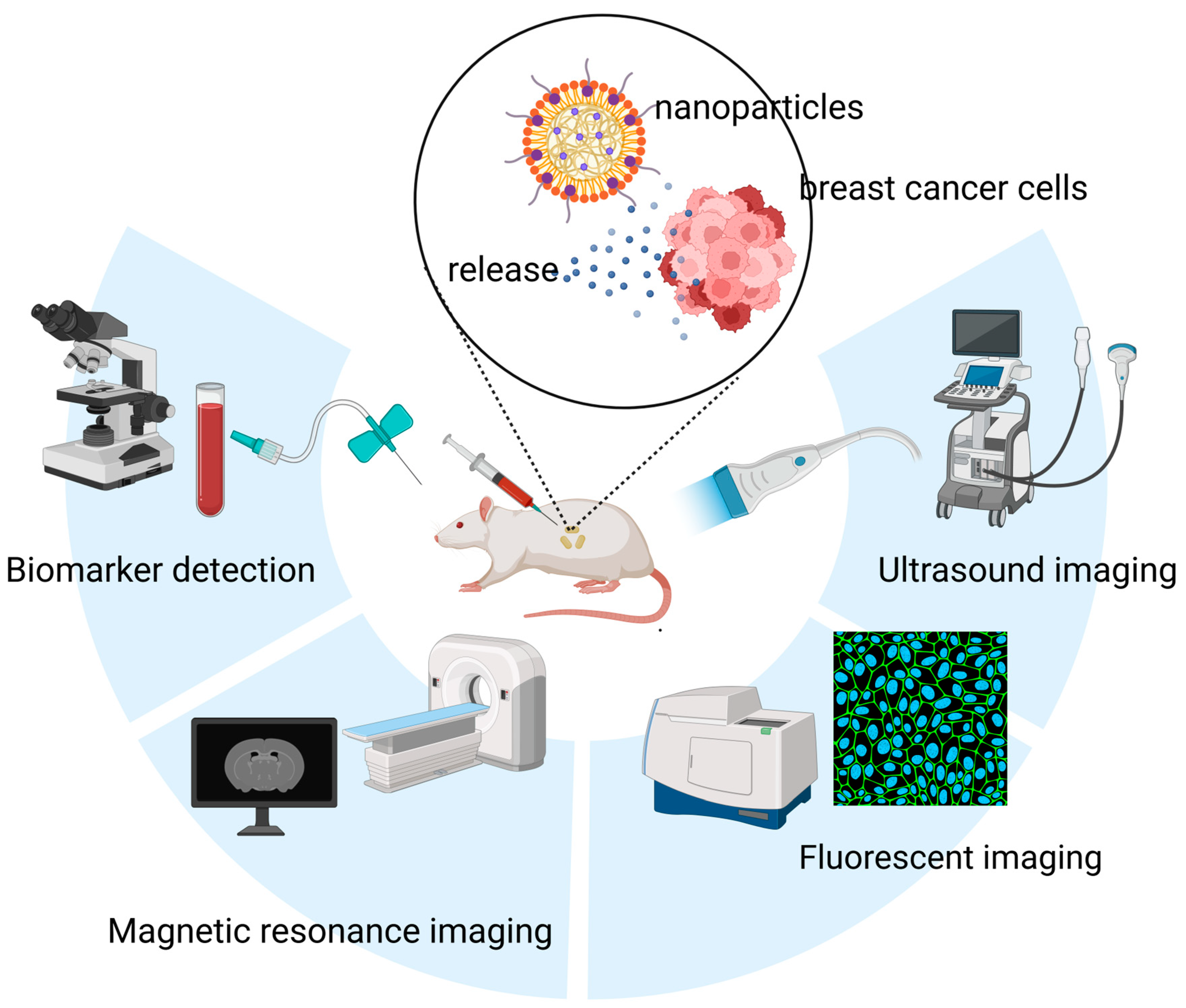 Pharmaceutics 17 01608 g001 Pharmaceutics 17 01608 g001