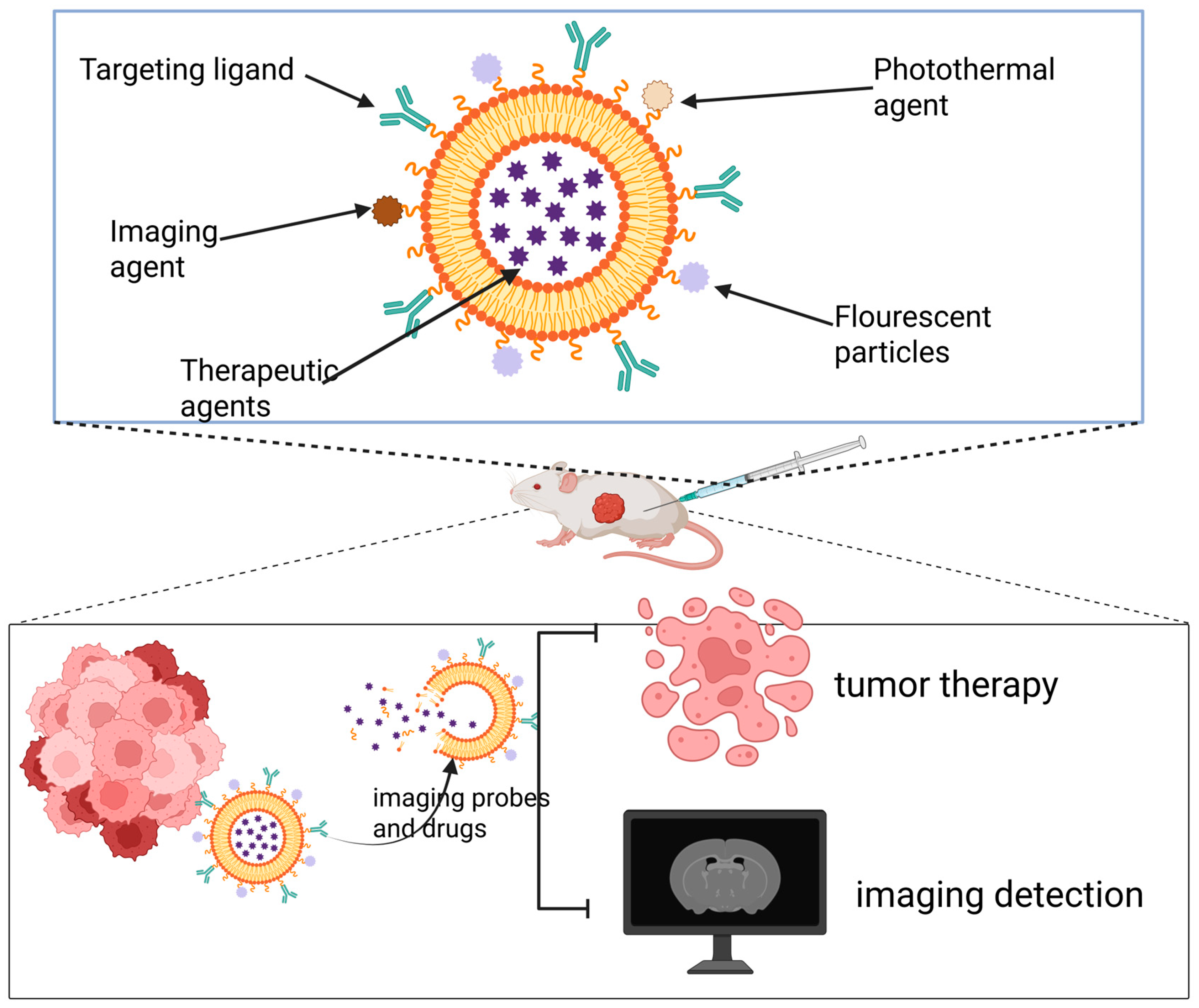 Pharmaceutics 17 01608 g003 Pharmaceutics 17 01608 g003