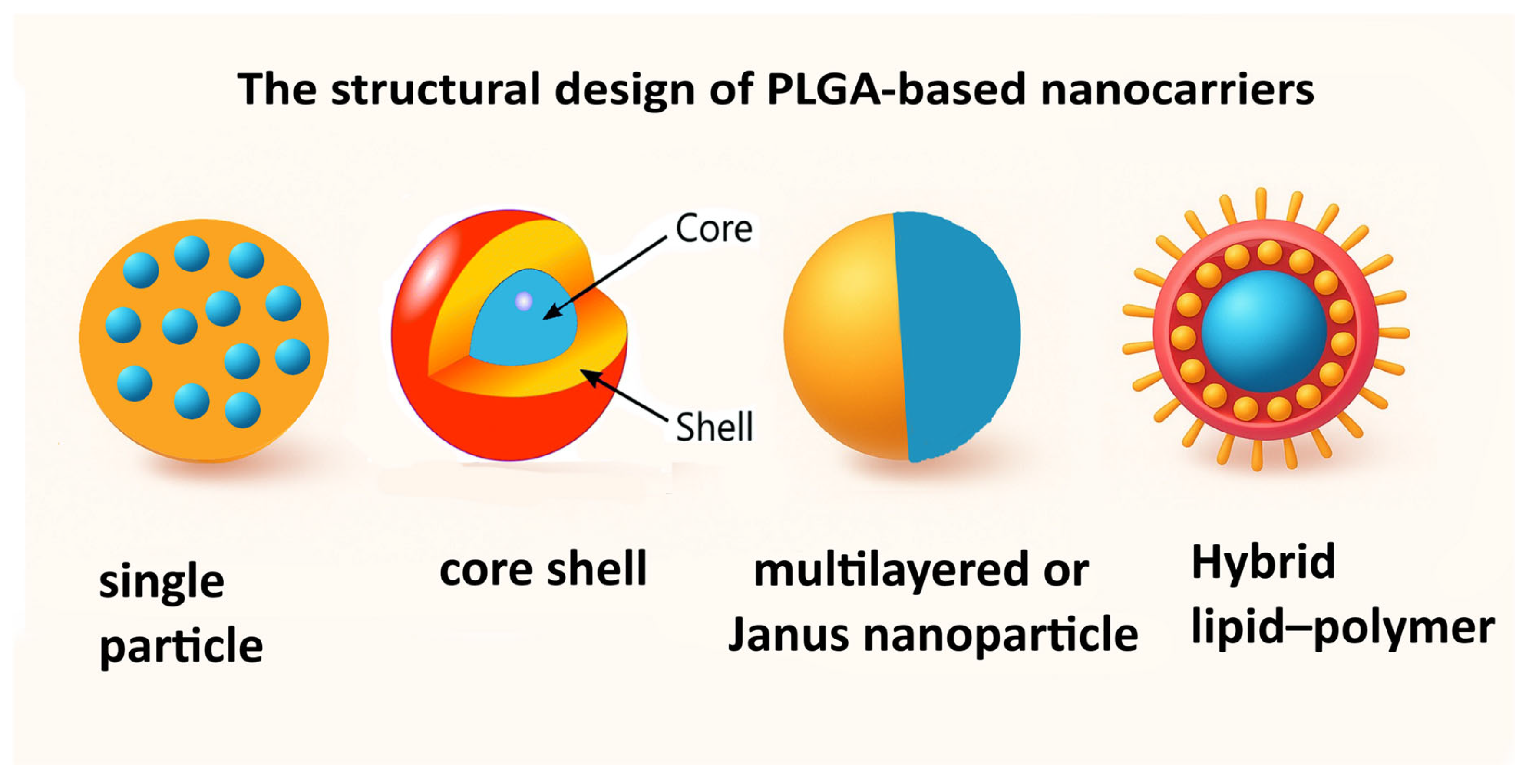 Pharmaceutics 17 01613 g002 Pharmaceutics 17 01613 g002