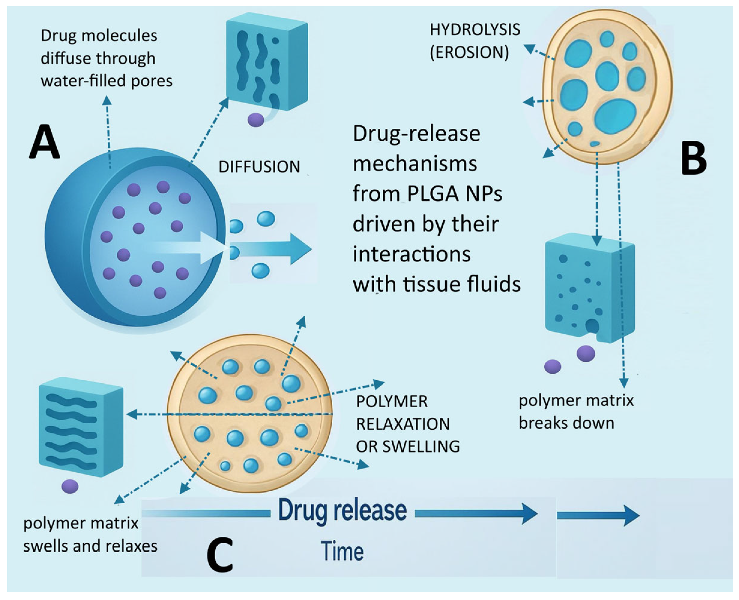 Pharmaceutics 17 01613 g004 Pharmaceutics 17 01613 g004