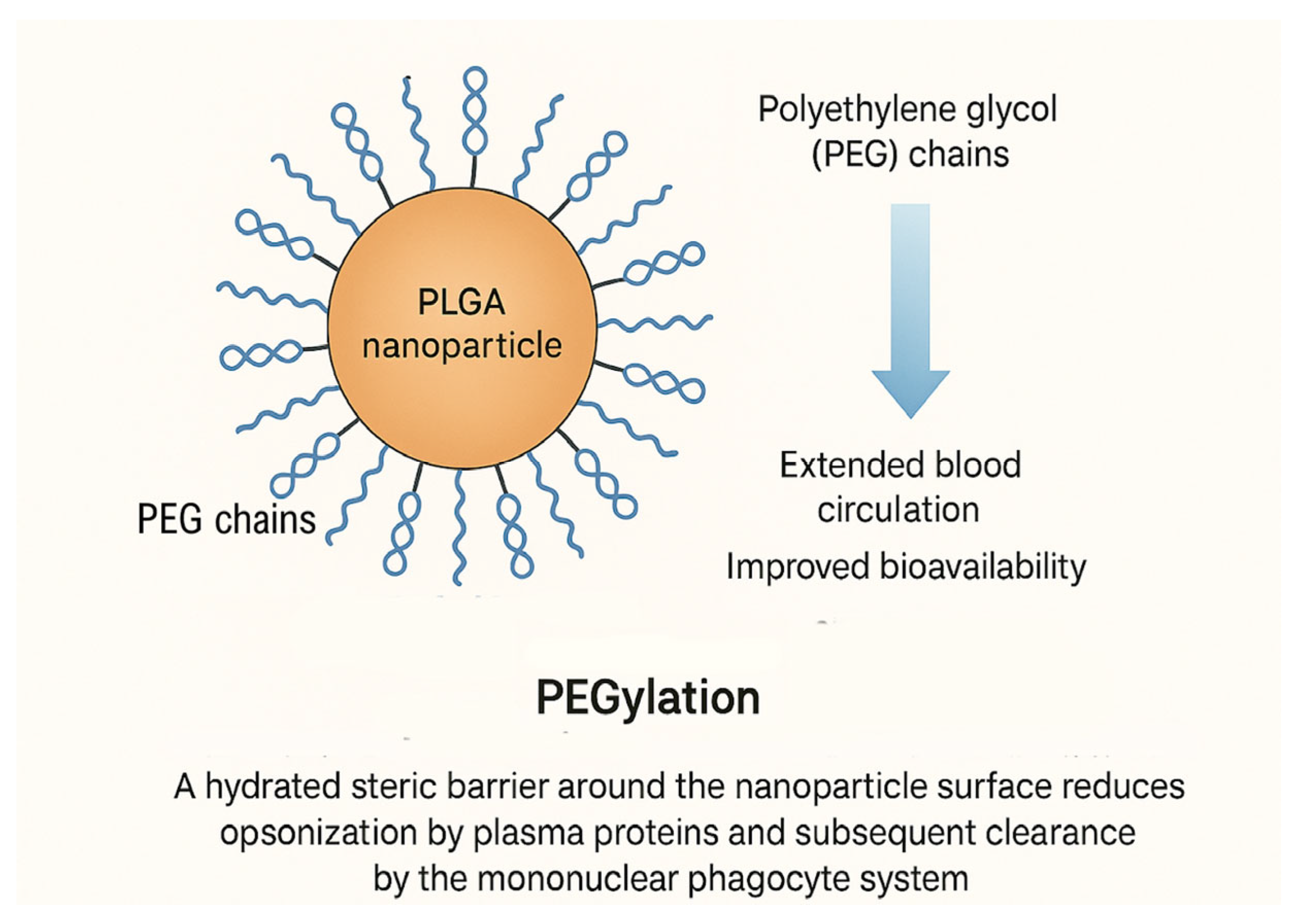 Pharmaceutics 17 01613 g005 Pharmaceutics 17 01613 g005
